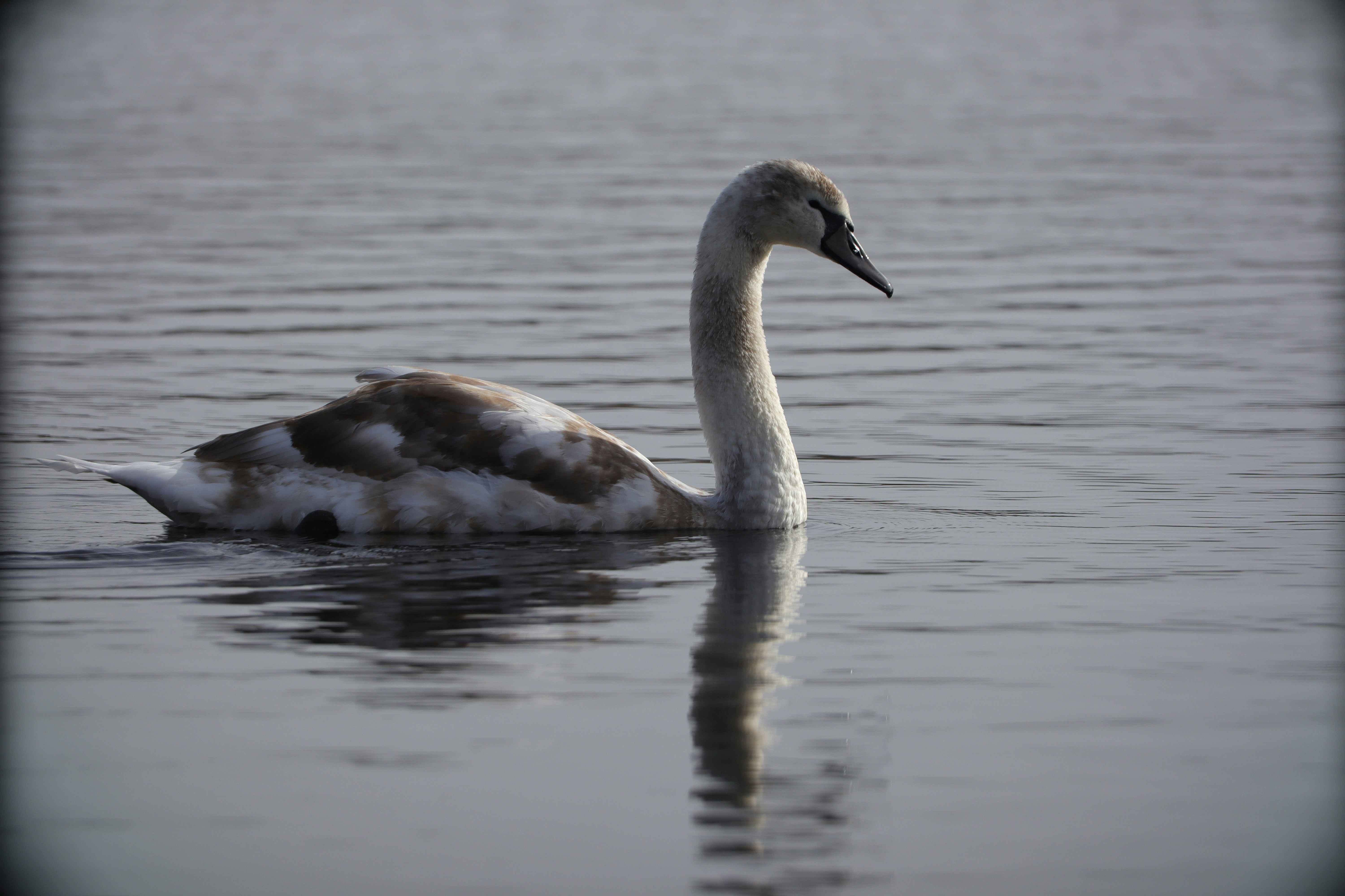 Photo by thedevonartist