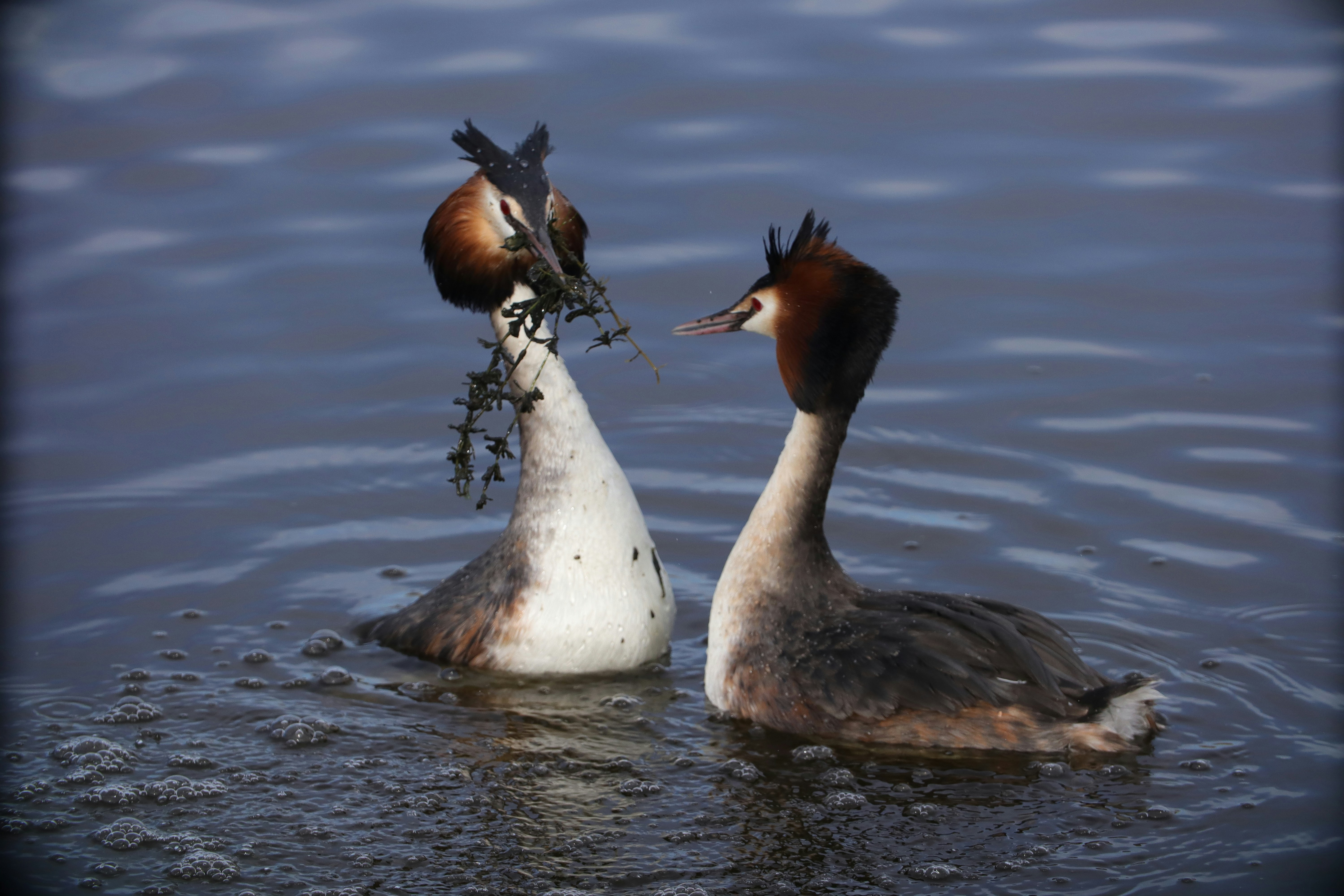 Photo by thedevonartist