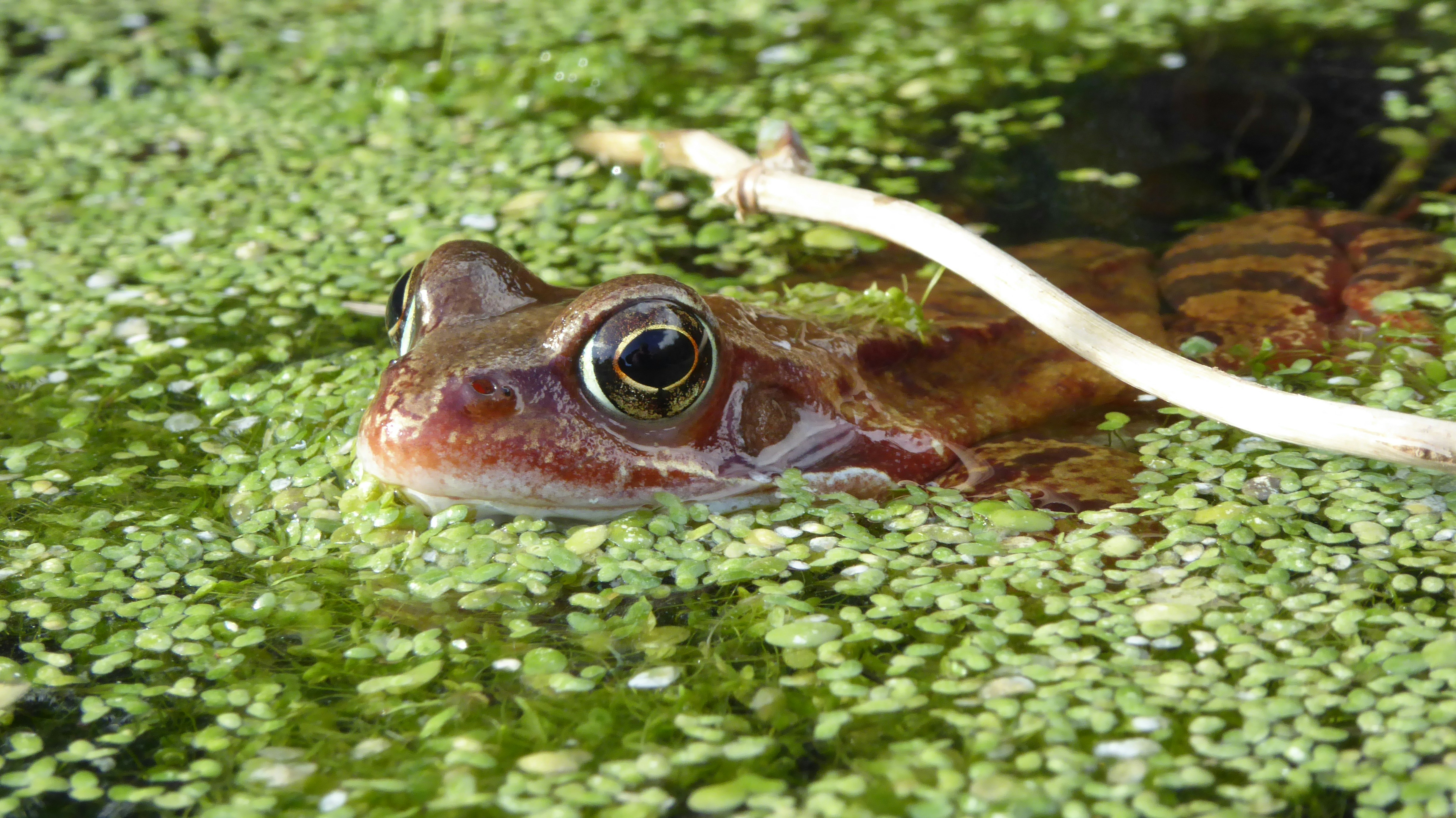 Photo by thedevonartist