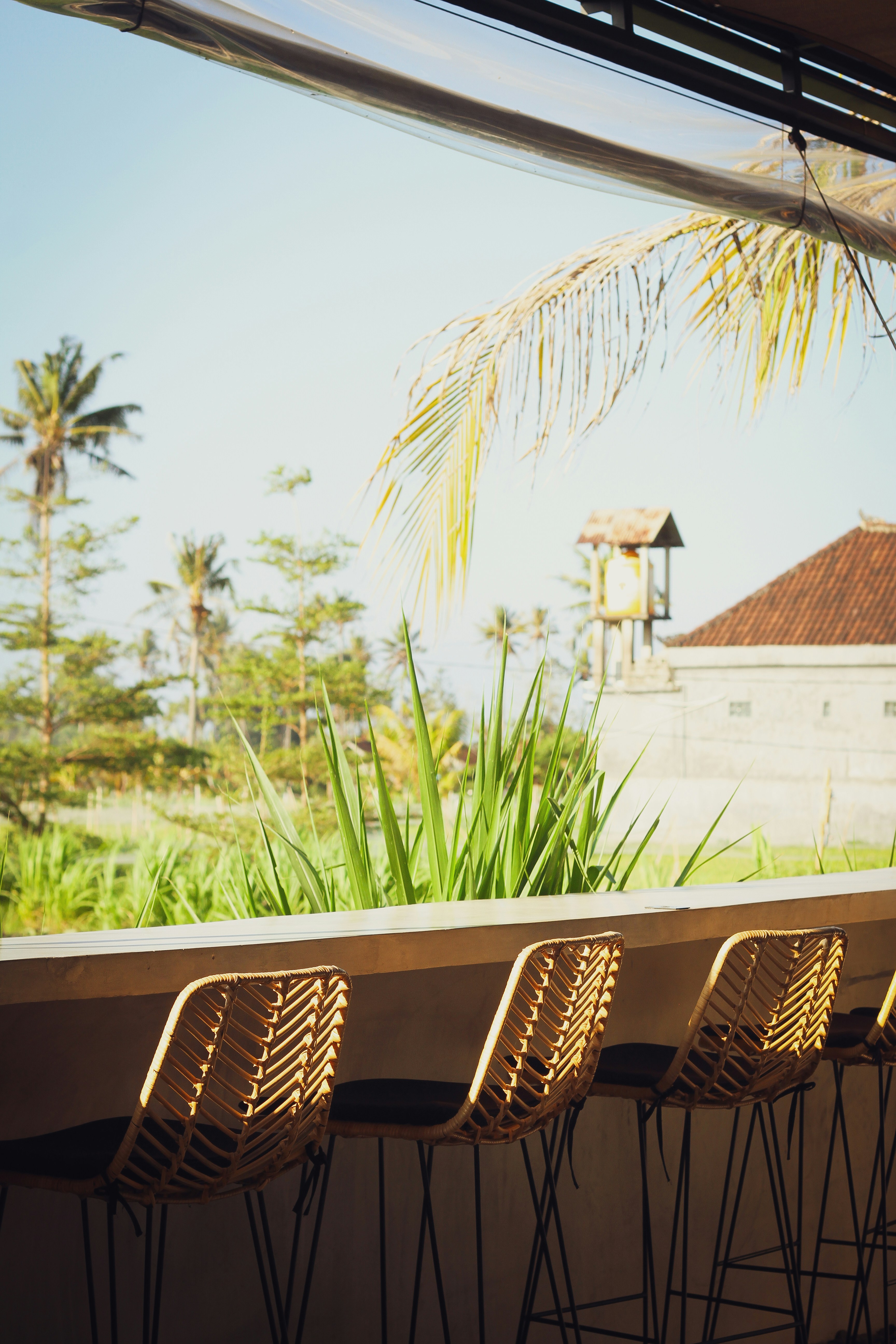 Beach Adventures: From Surfing Waves to Sunset Cocktails