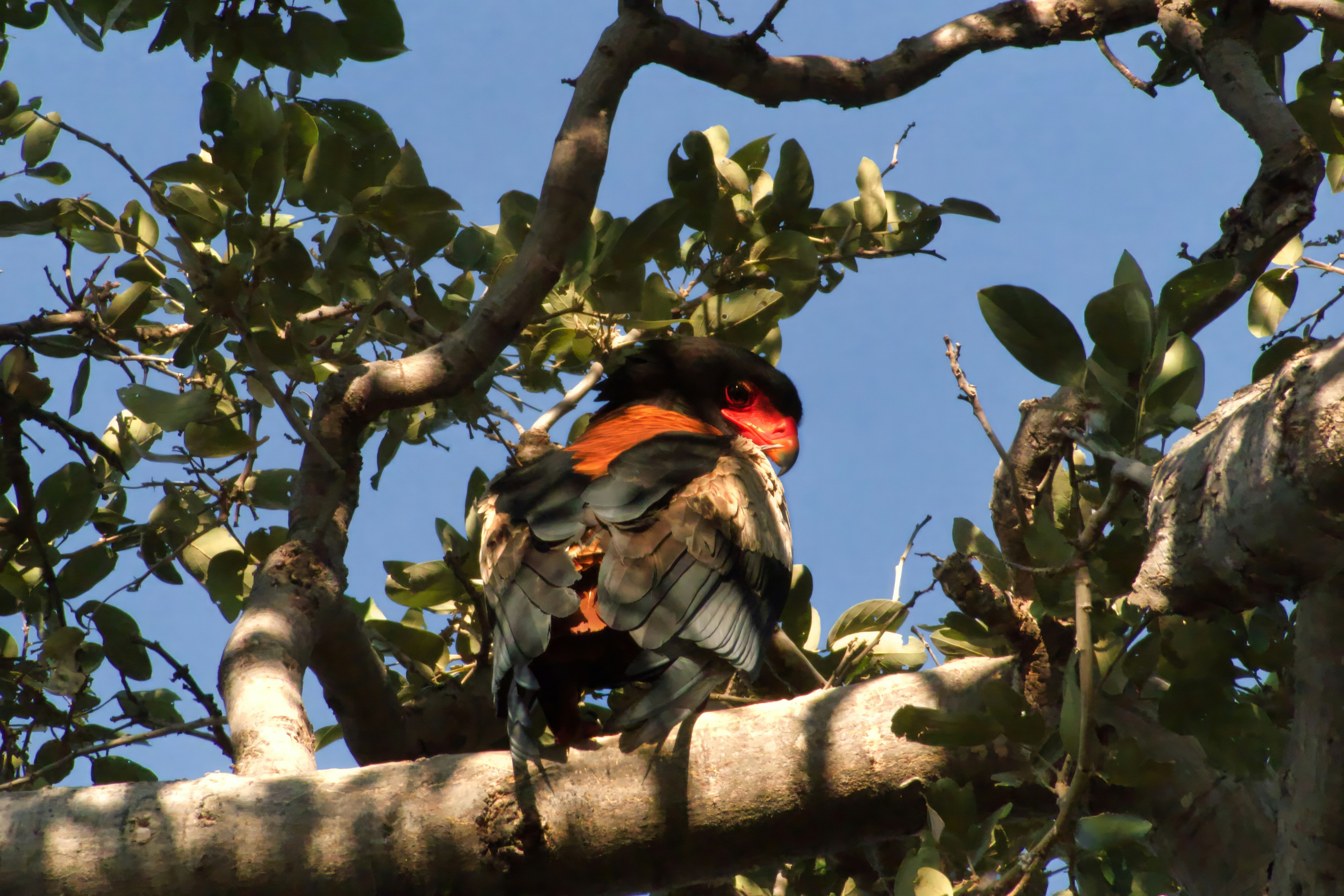 Photo by cristimilea