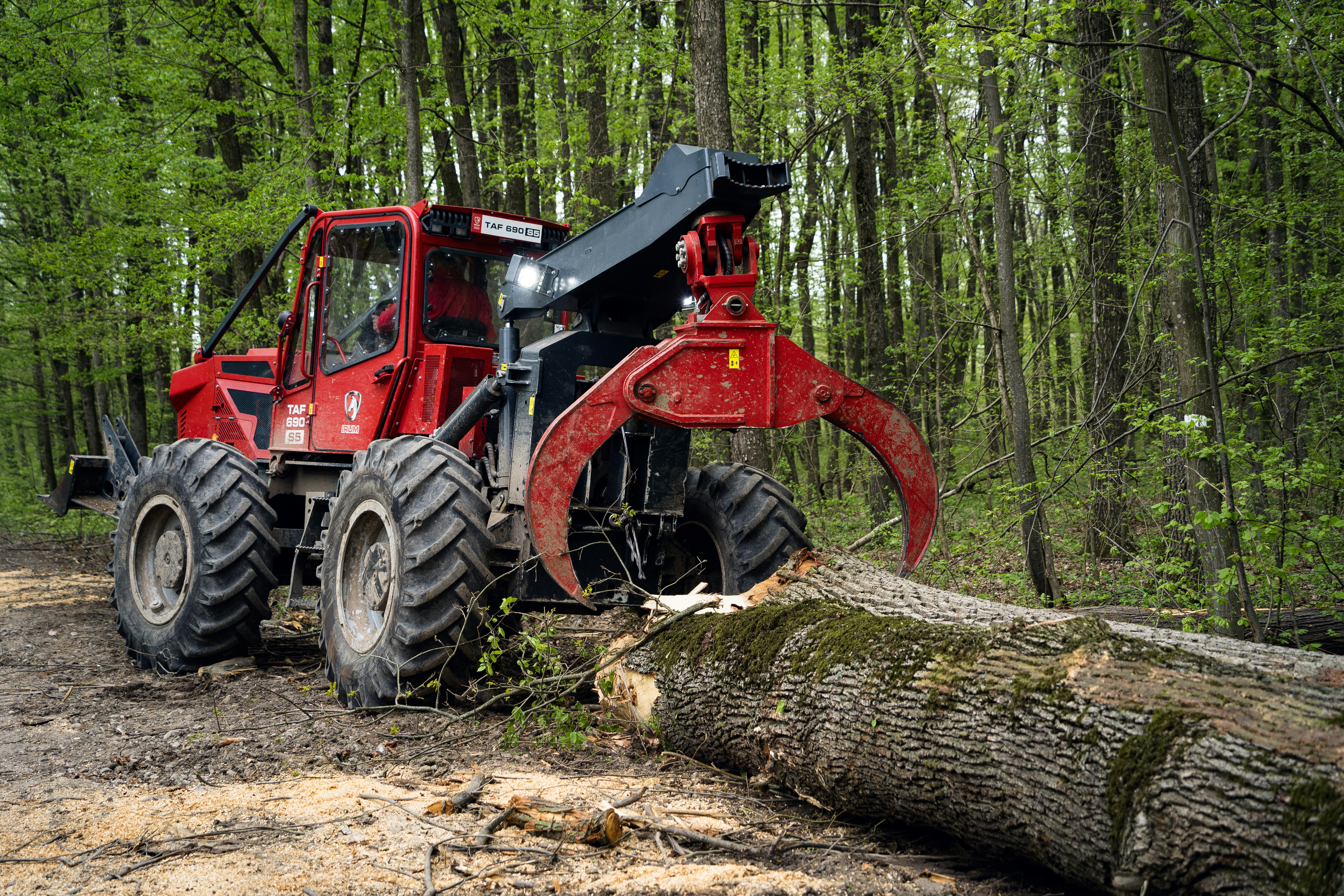 Photo by koss_szilard