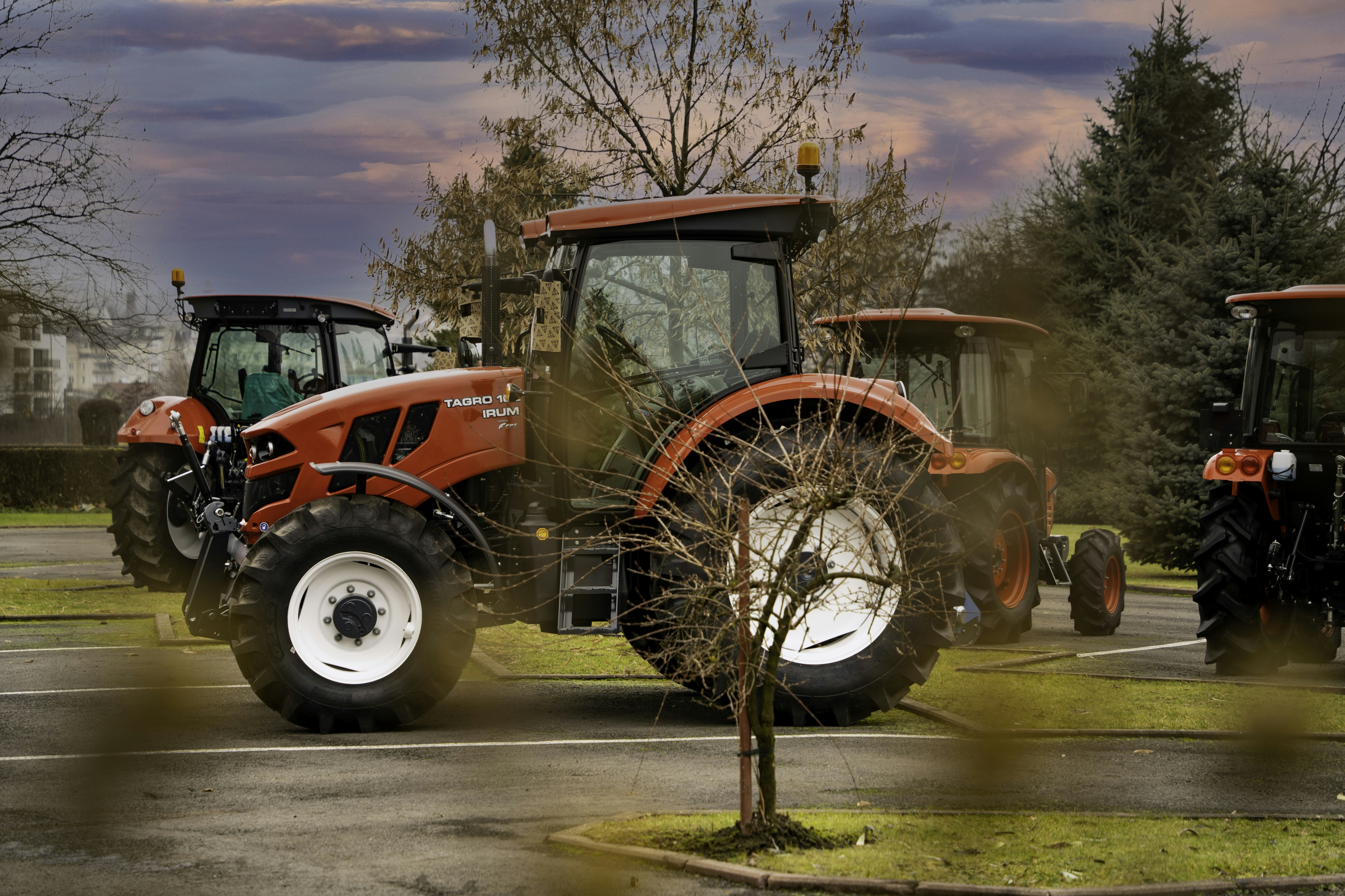 Photo by koss_szilard