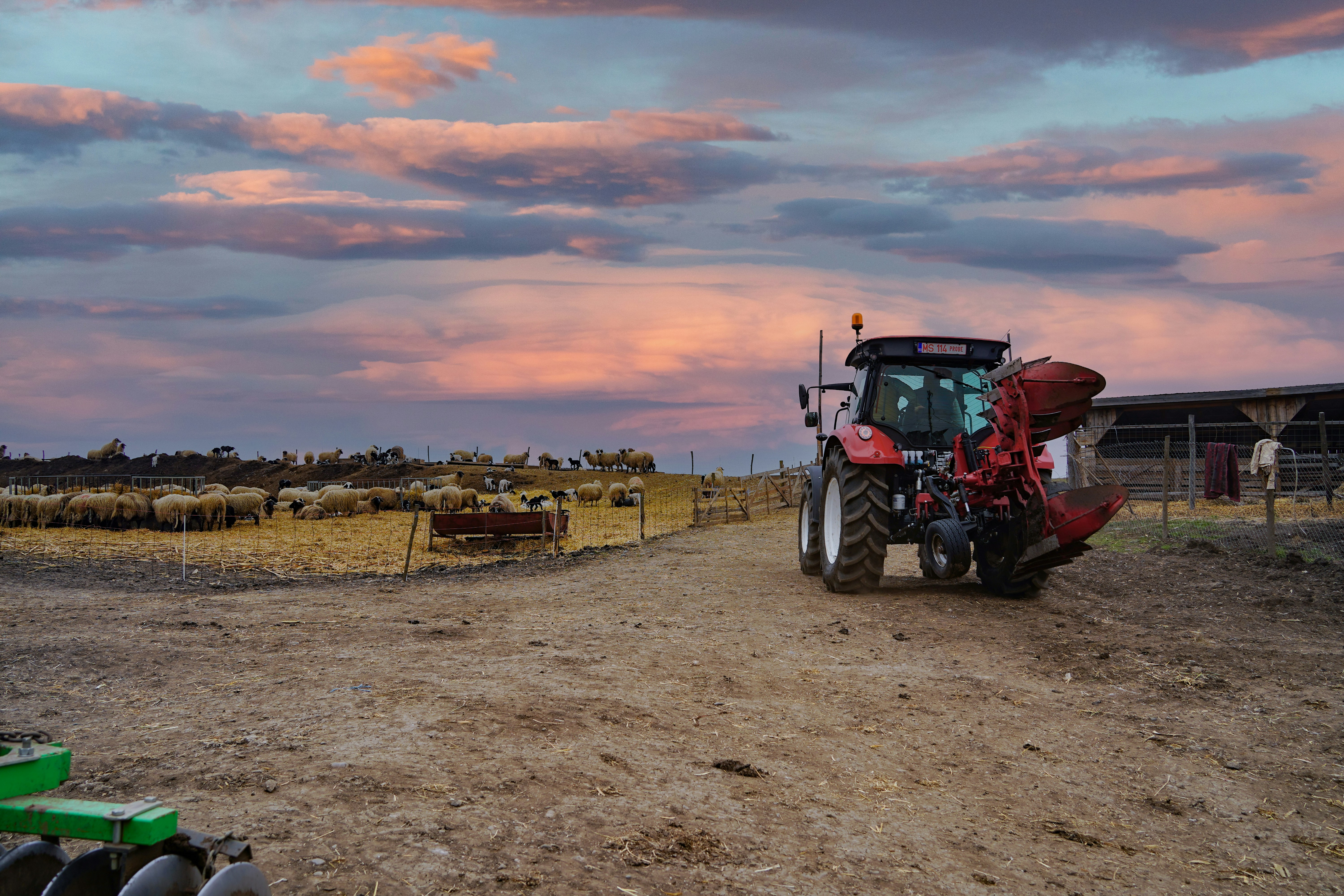 Photo by koss_szilard