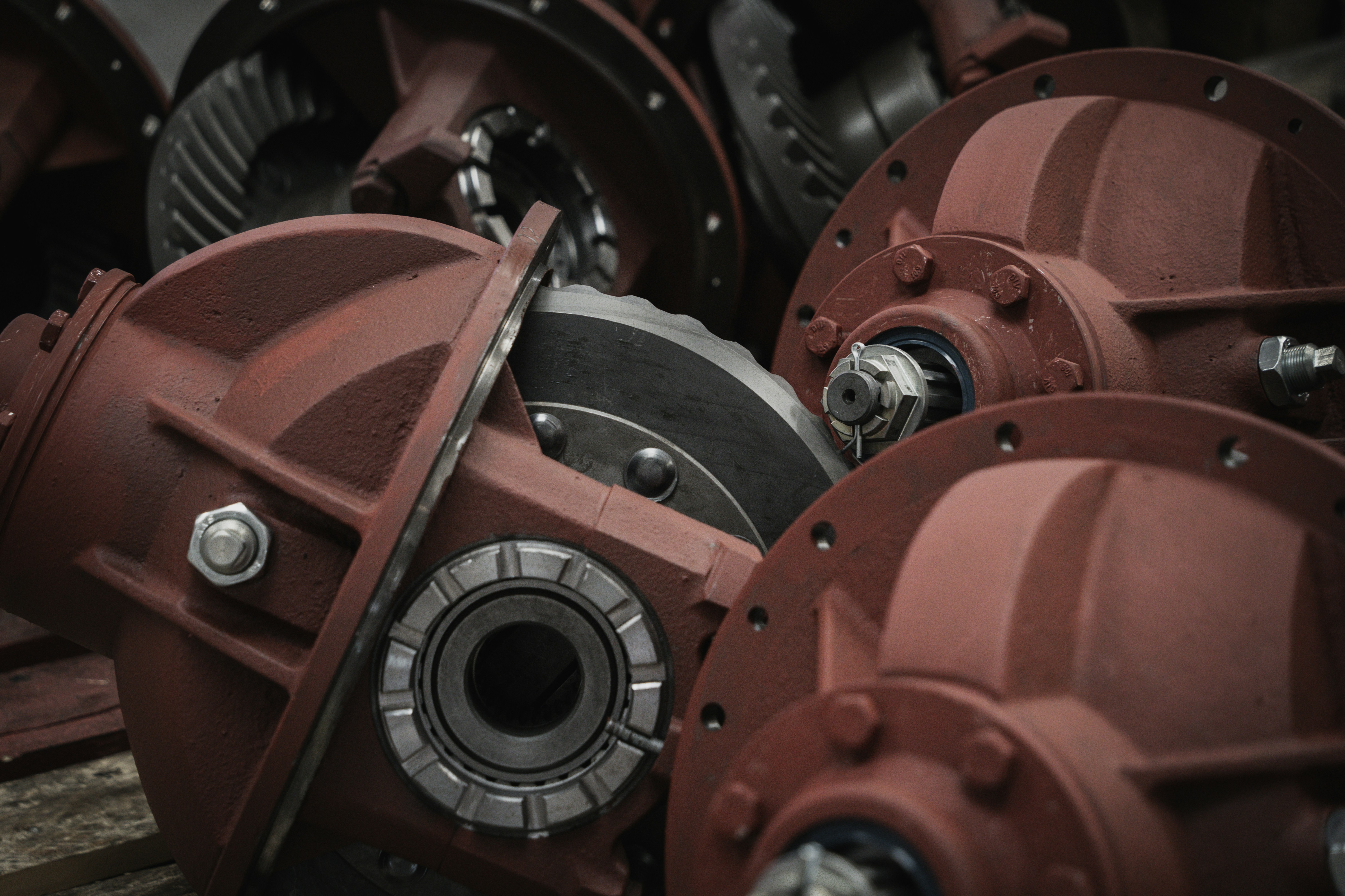 Photo by koss_szilard