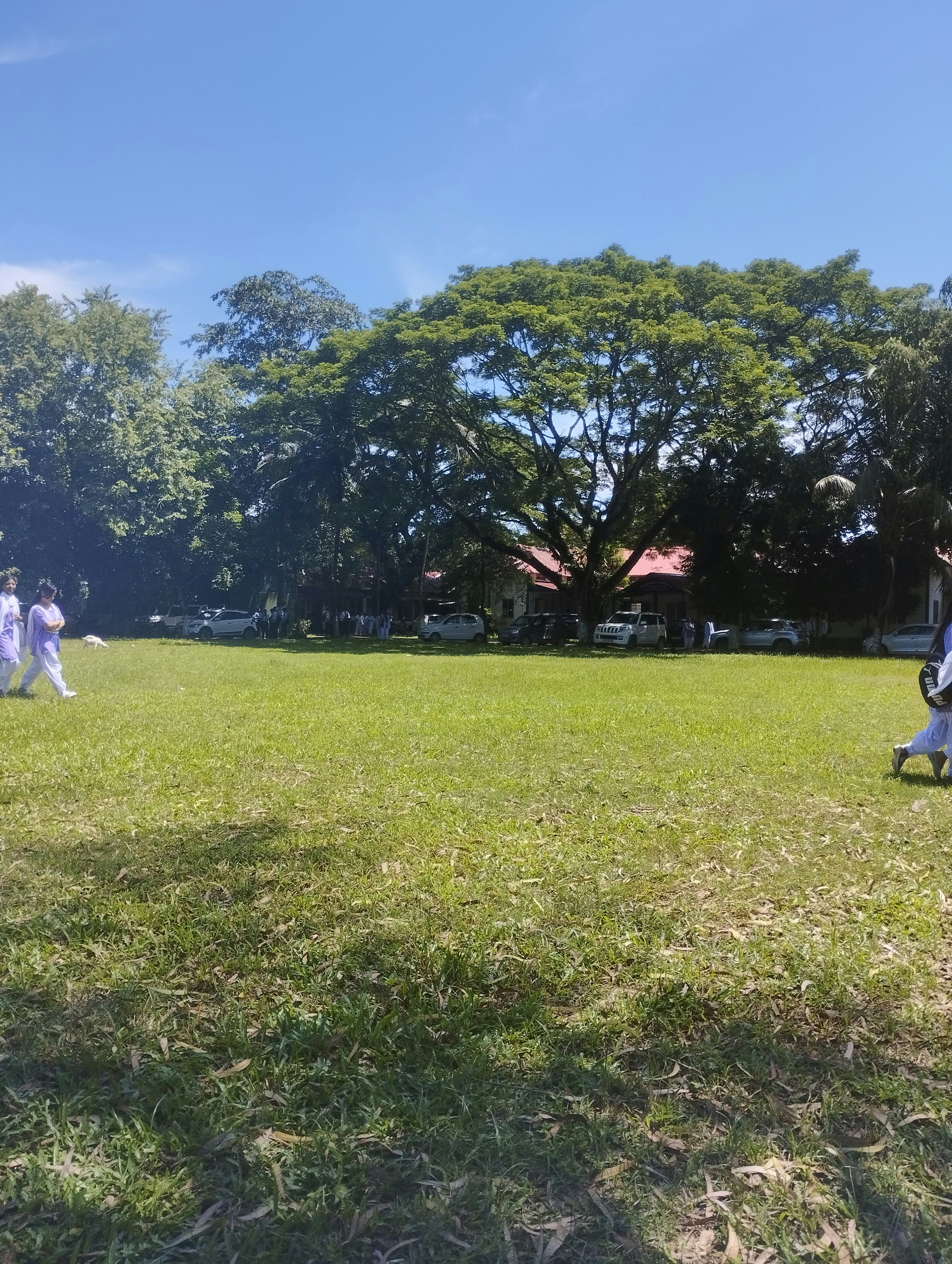 Students playing football on a bright green grass field in school uniforms, daytime outdoor sports