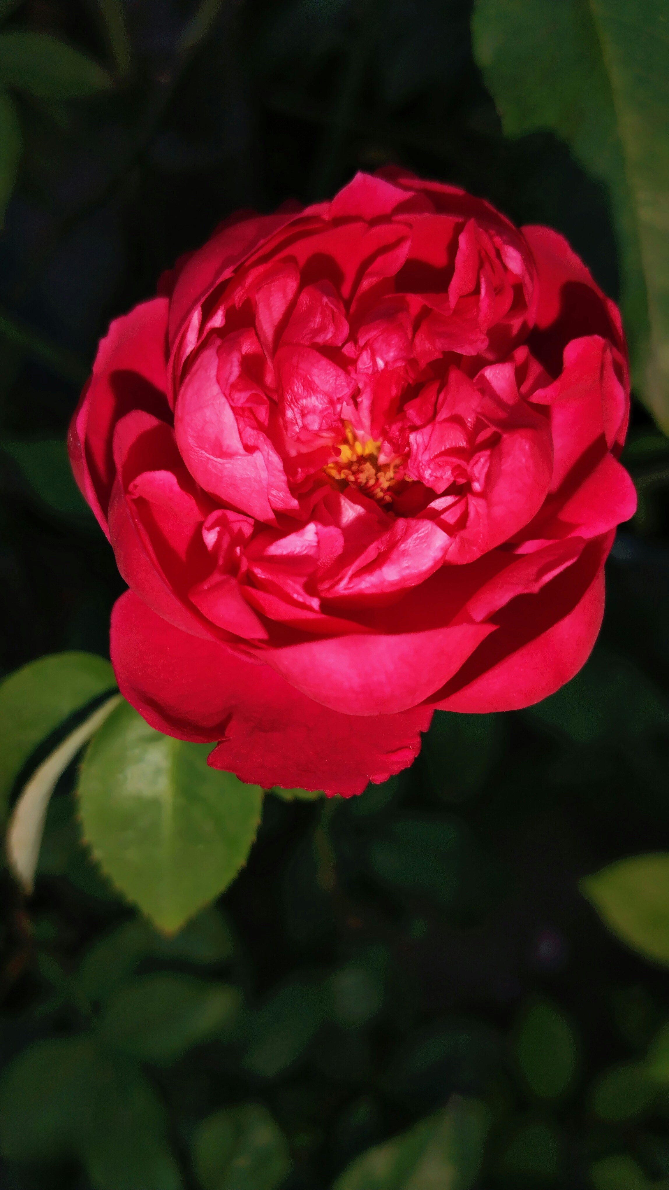 Photo by mahinishrak