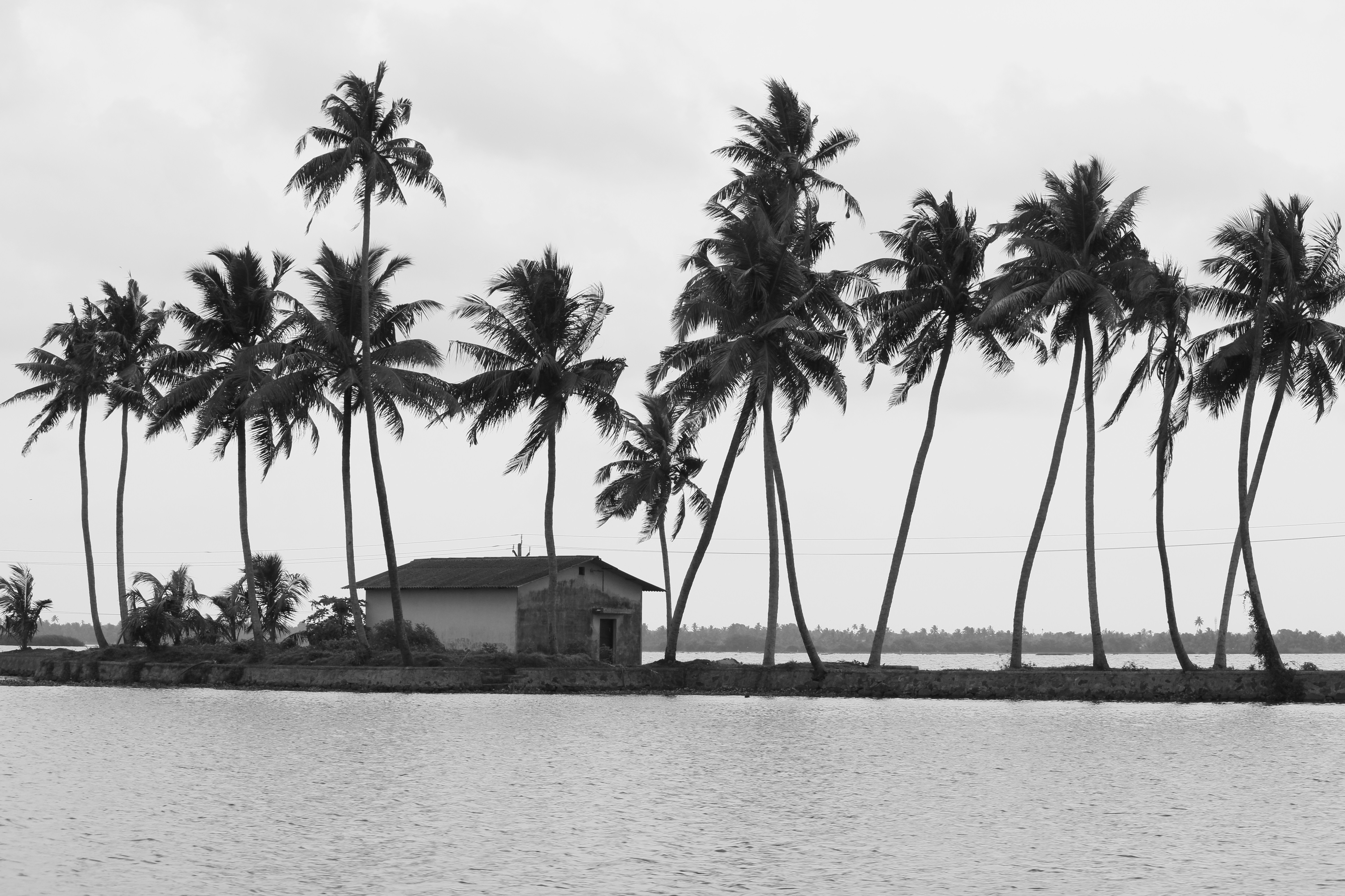 Photo by indianhobbyphotographer