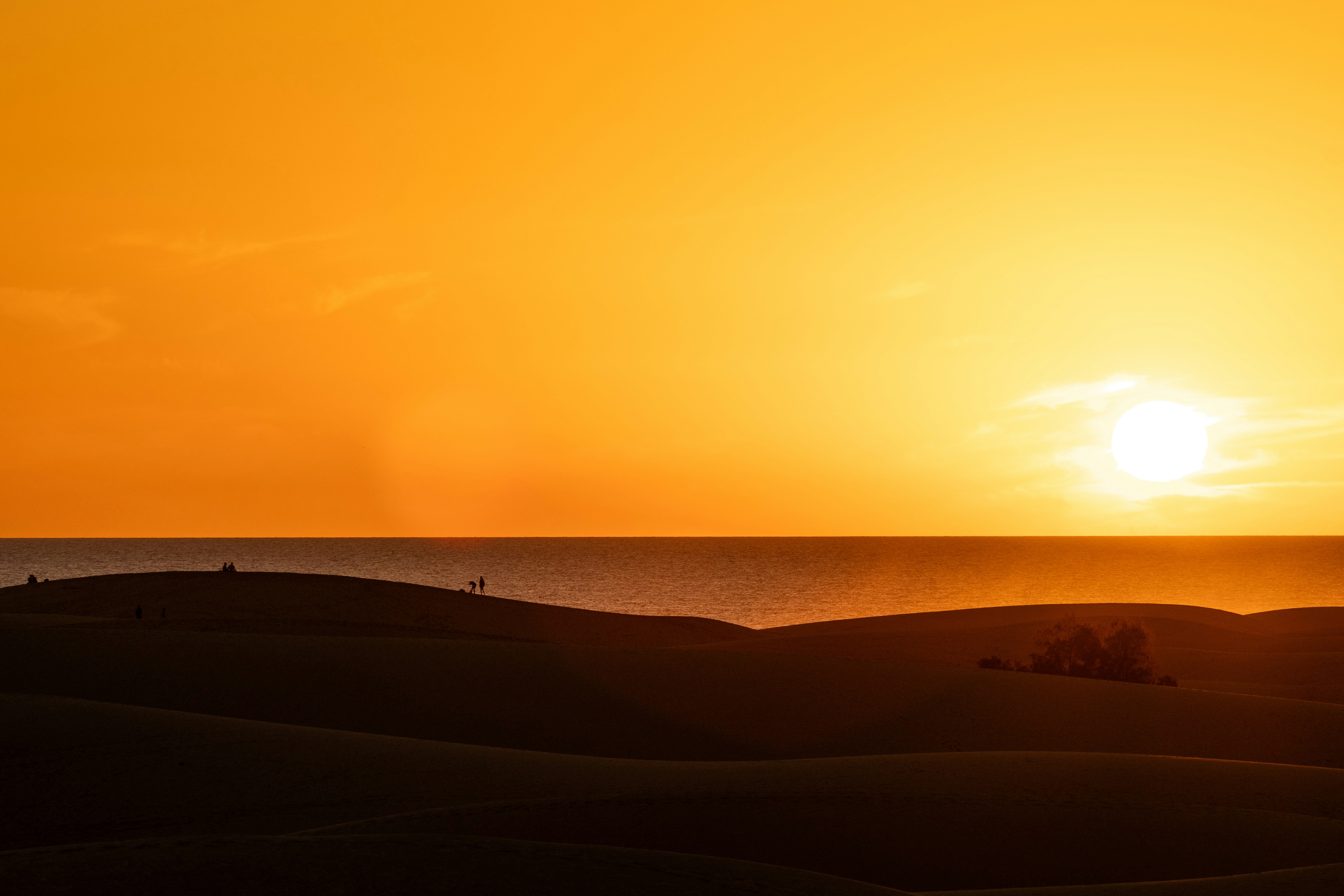 Photo by martin_nuret