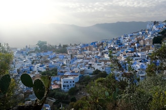 A view of a blue city from a hill