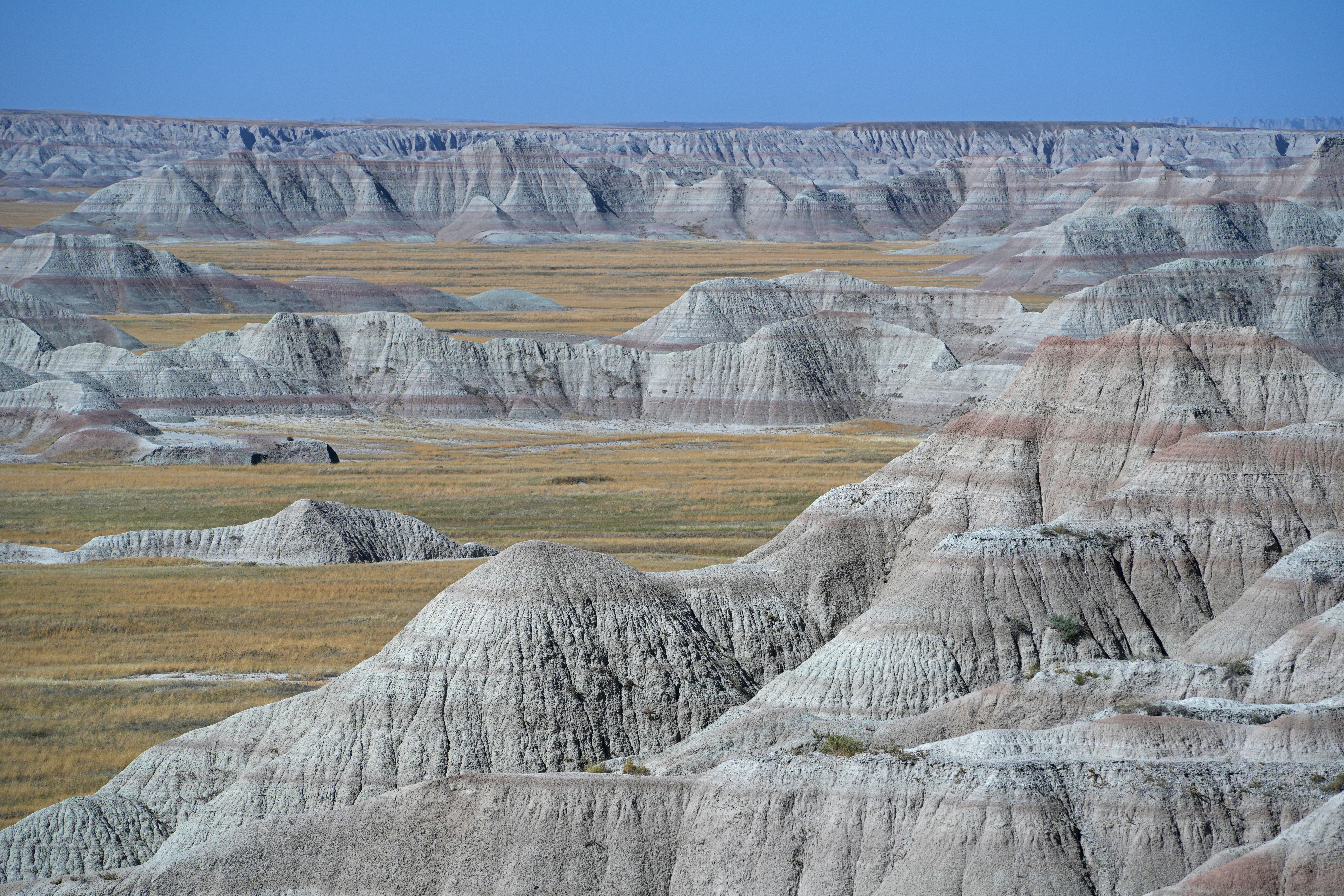 Photo by charleswham