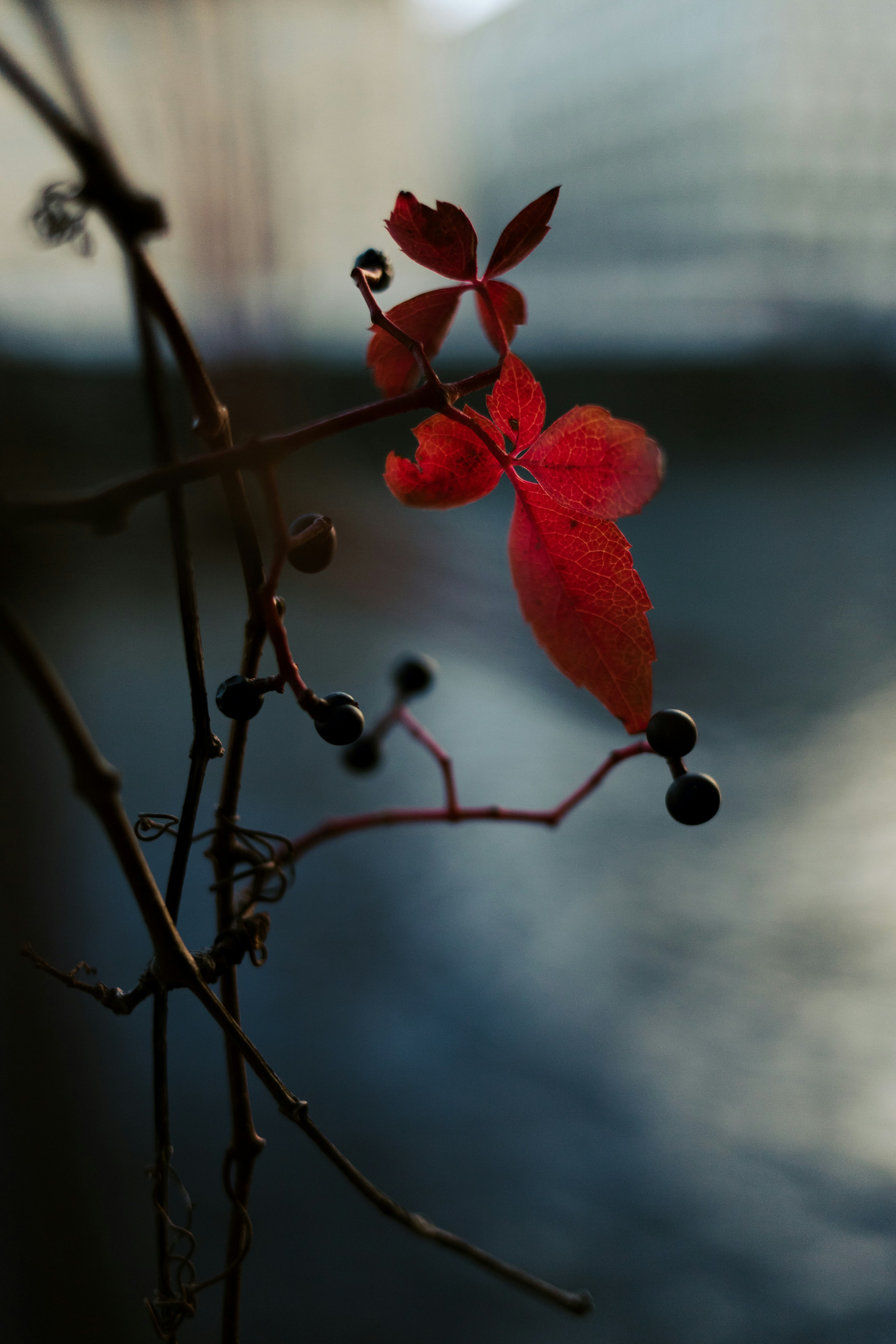 Photo by nikita_pishchugin