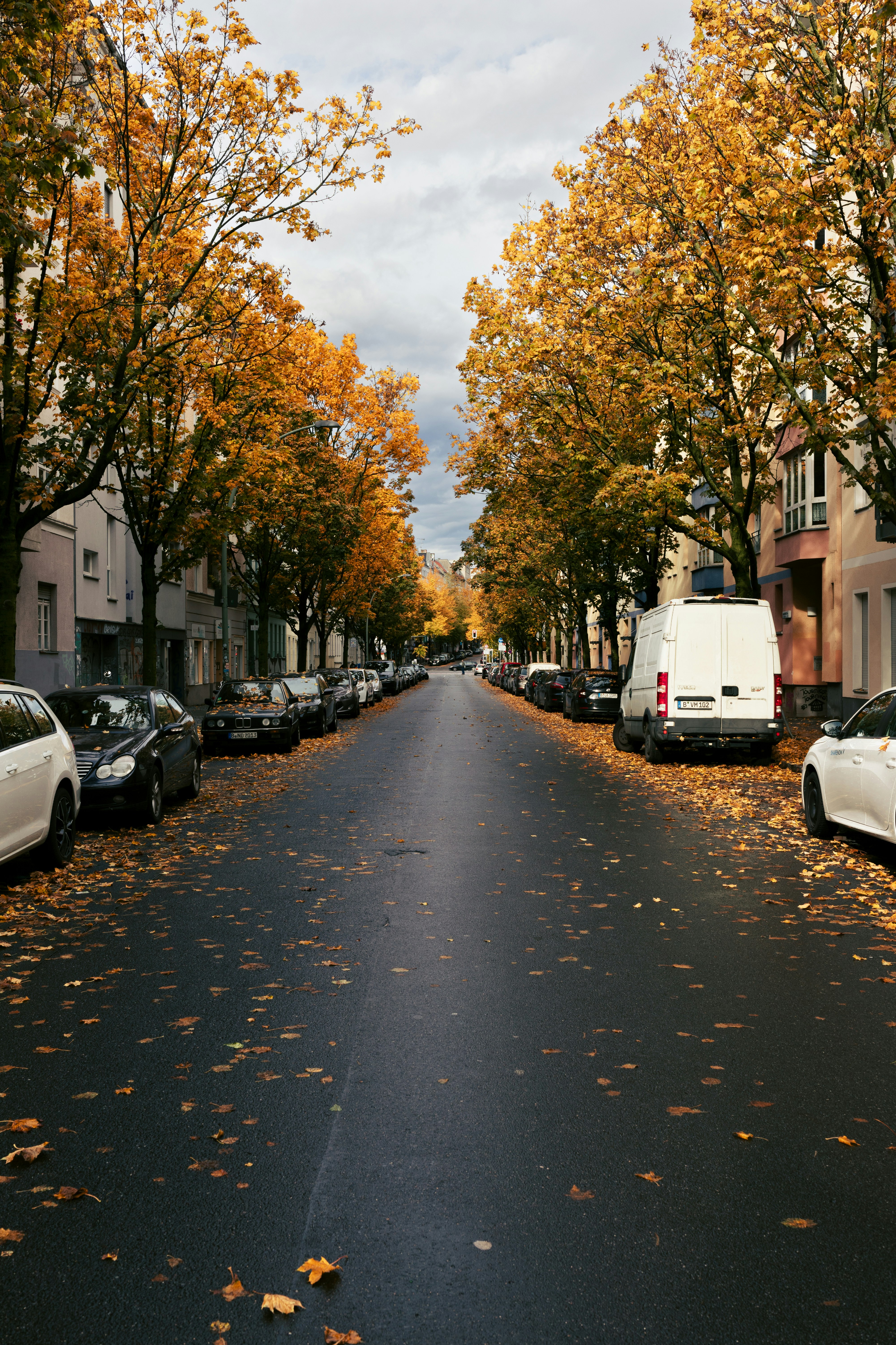 Photo by nikita_pishchugin