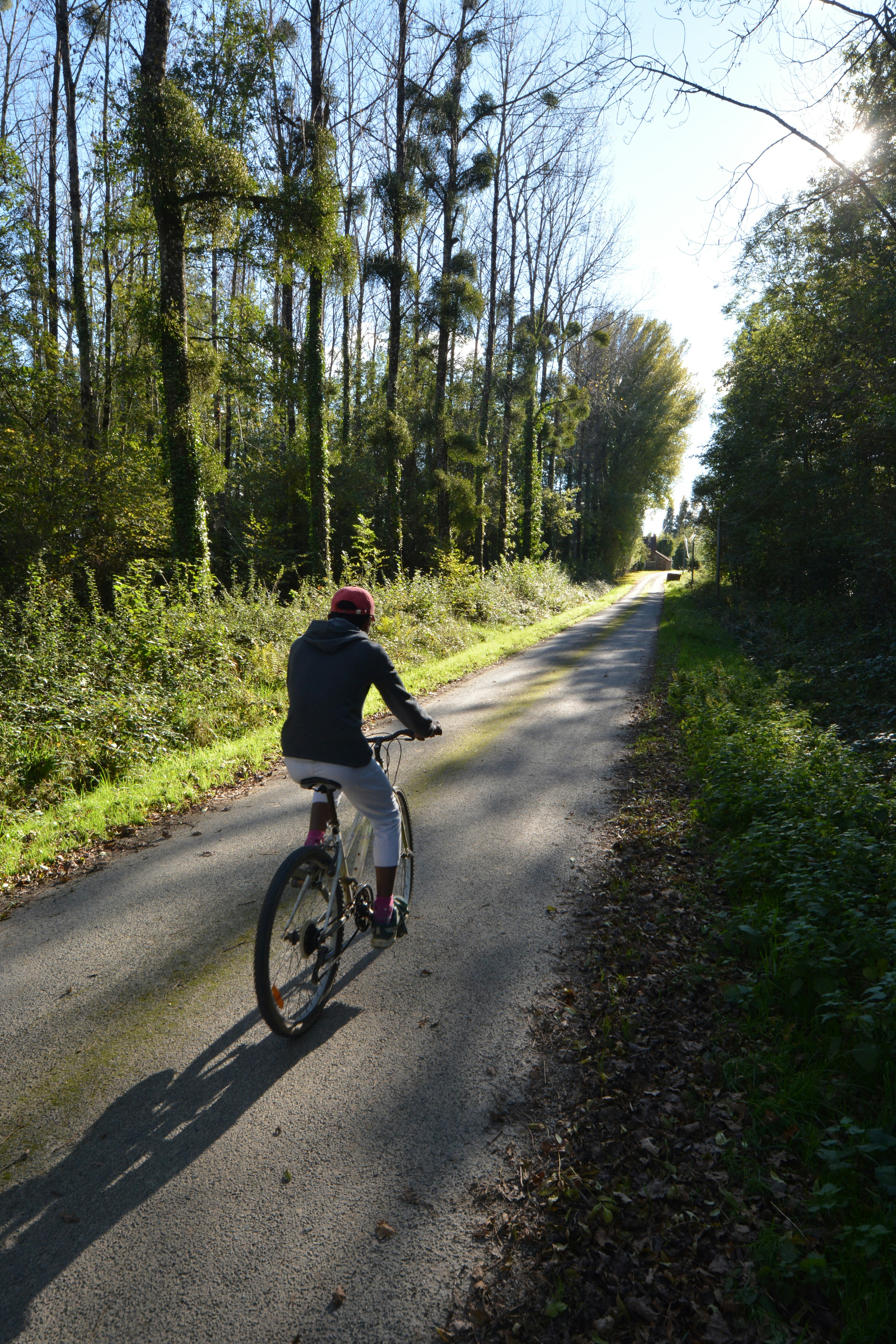 A person riding a bike down a country road