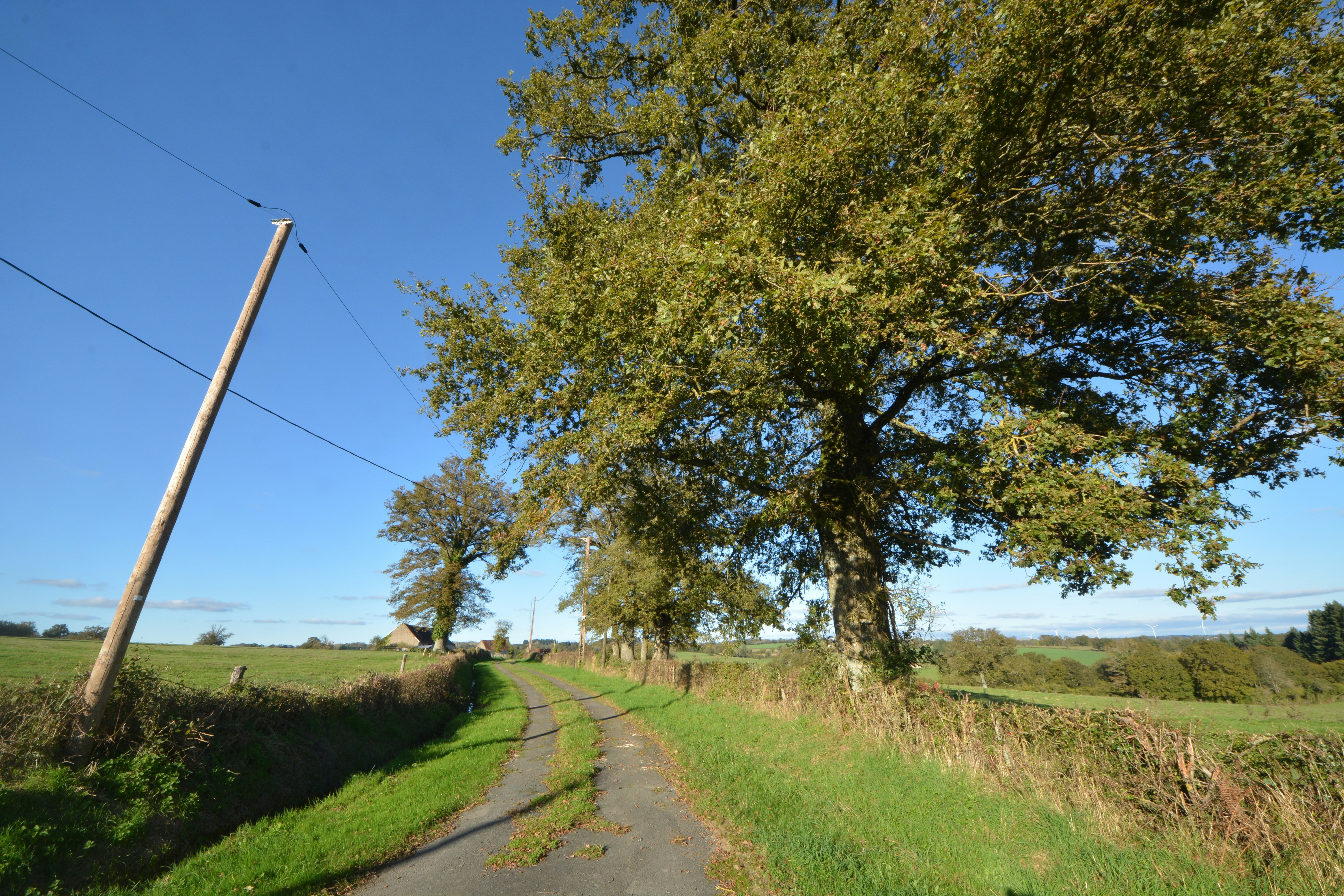 Orbital Net Acquires LPIS: Holiday Park WiFi Expansion