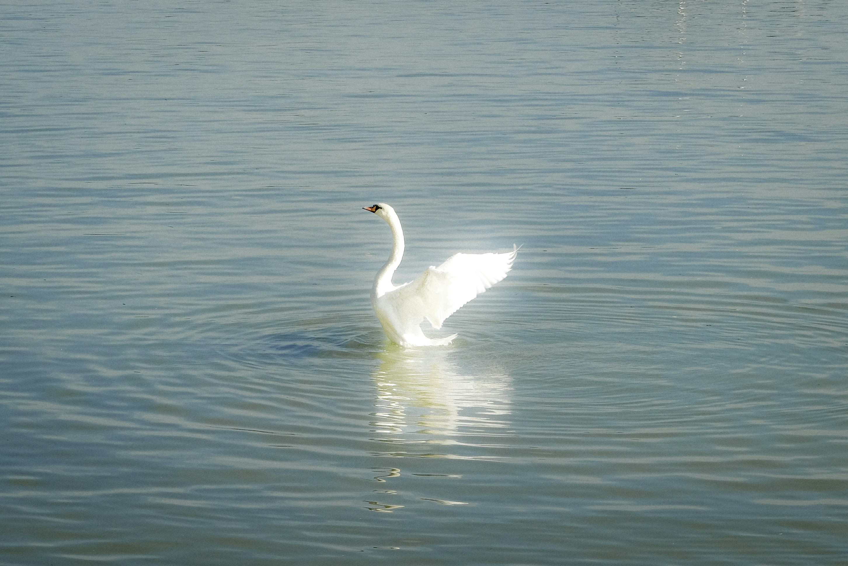 Photo by marishphoto