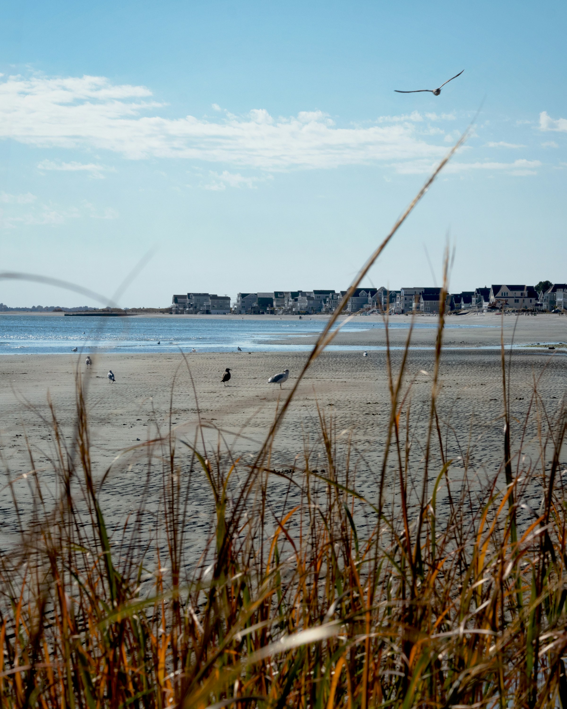A view of a beach with a kite flying in the sky