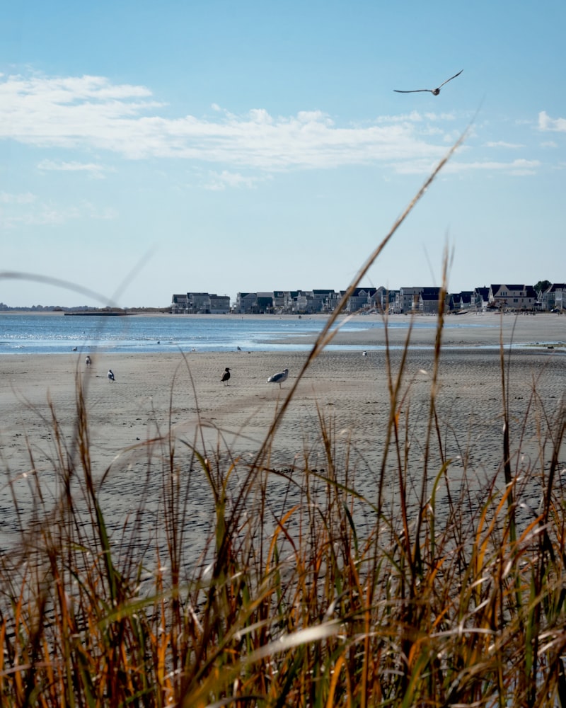 Compo Beach Connecticut