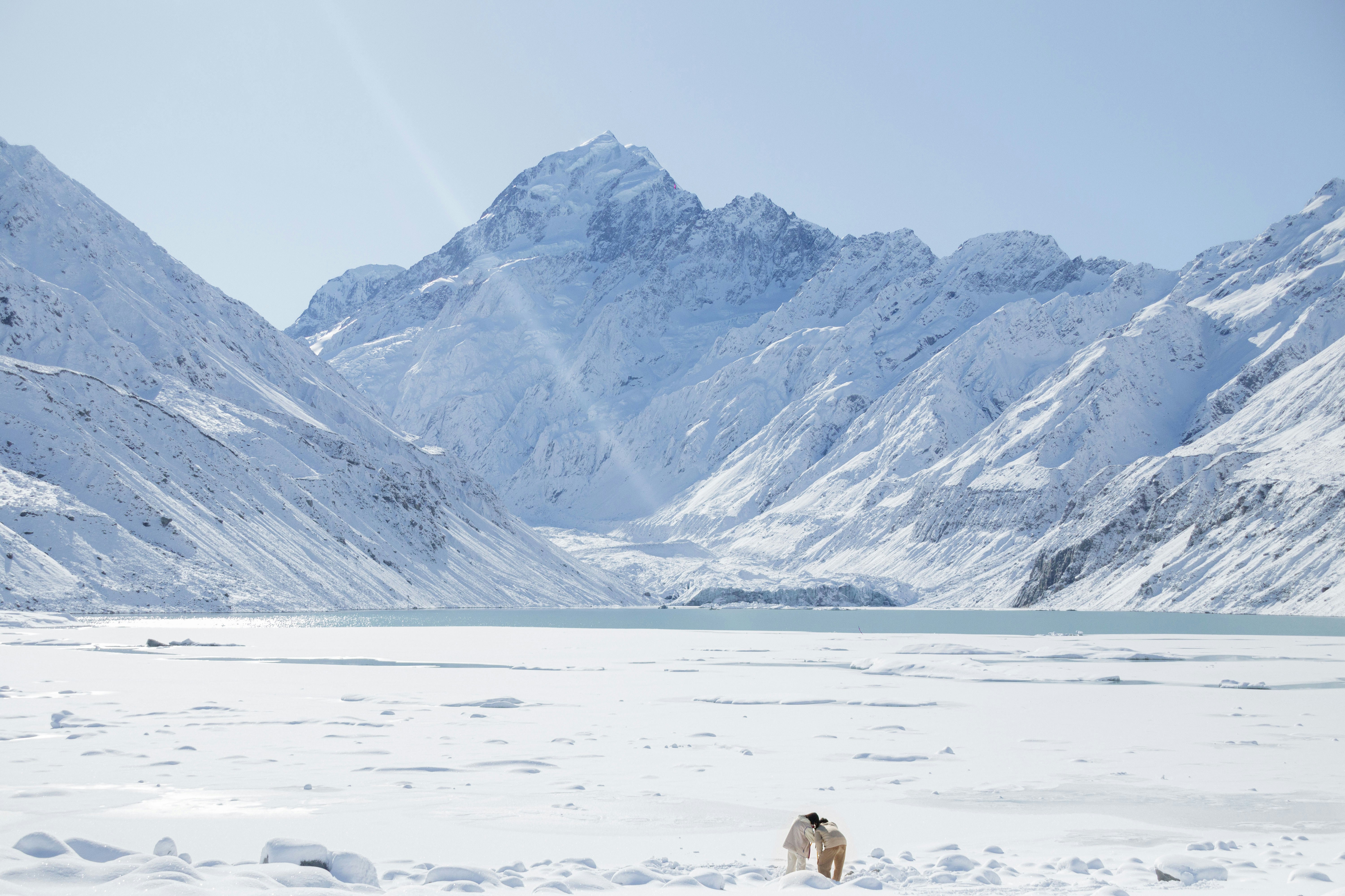 Un perro caminando por un campo cubierto de nieve
