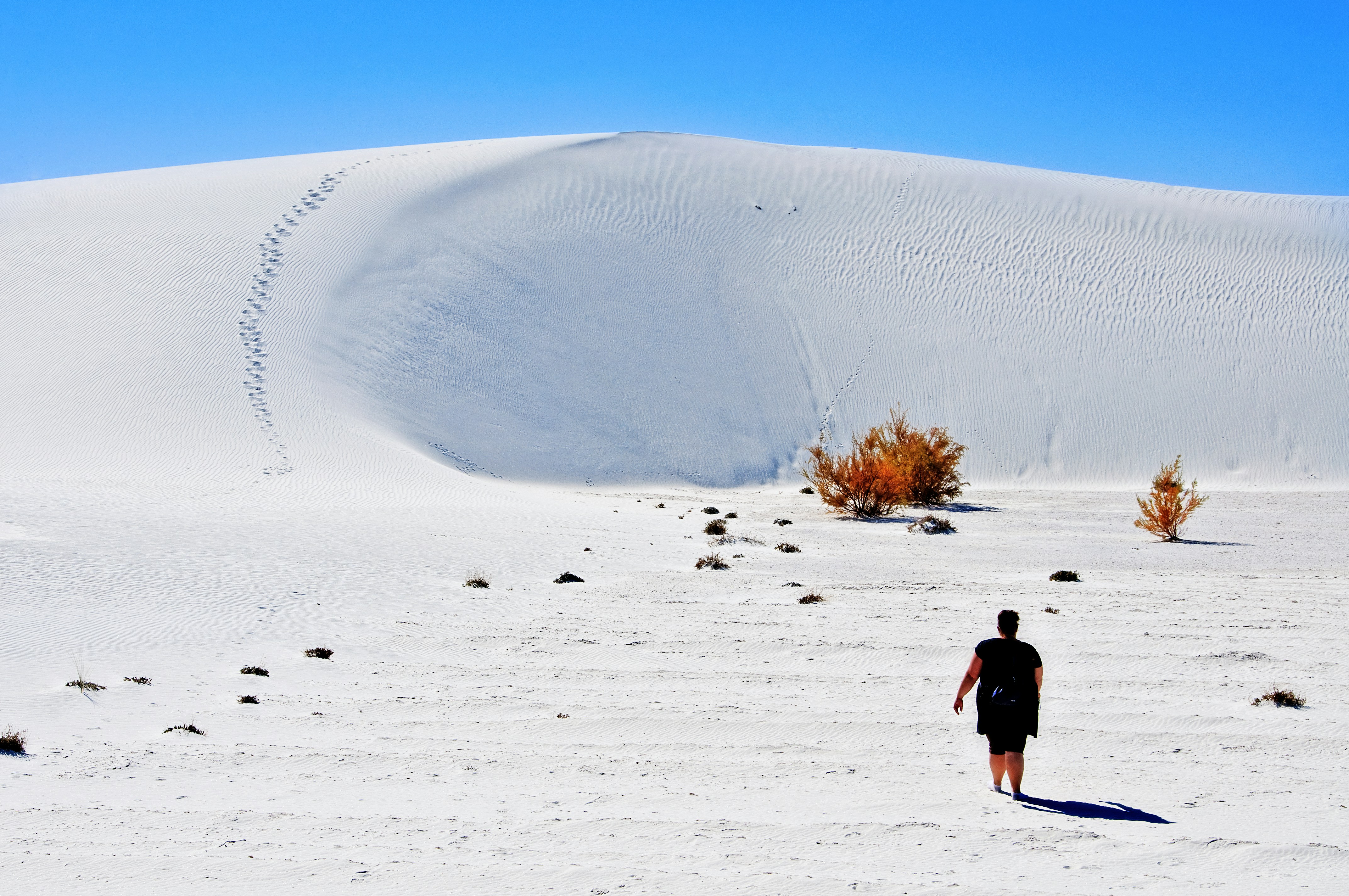 Photo by jensineodom