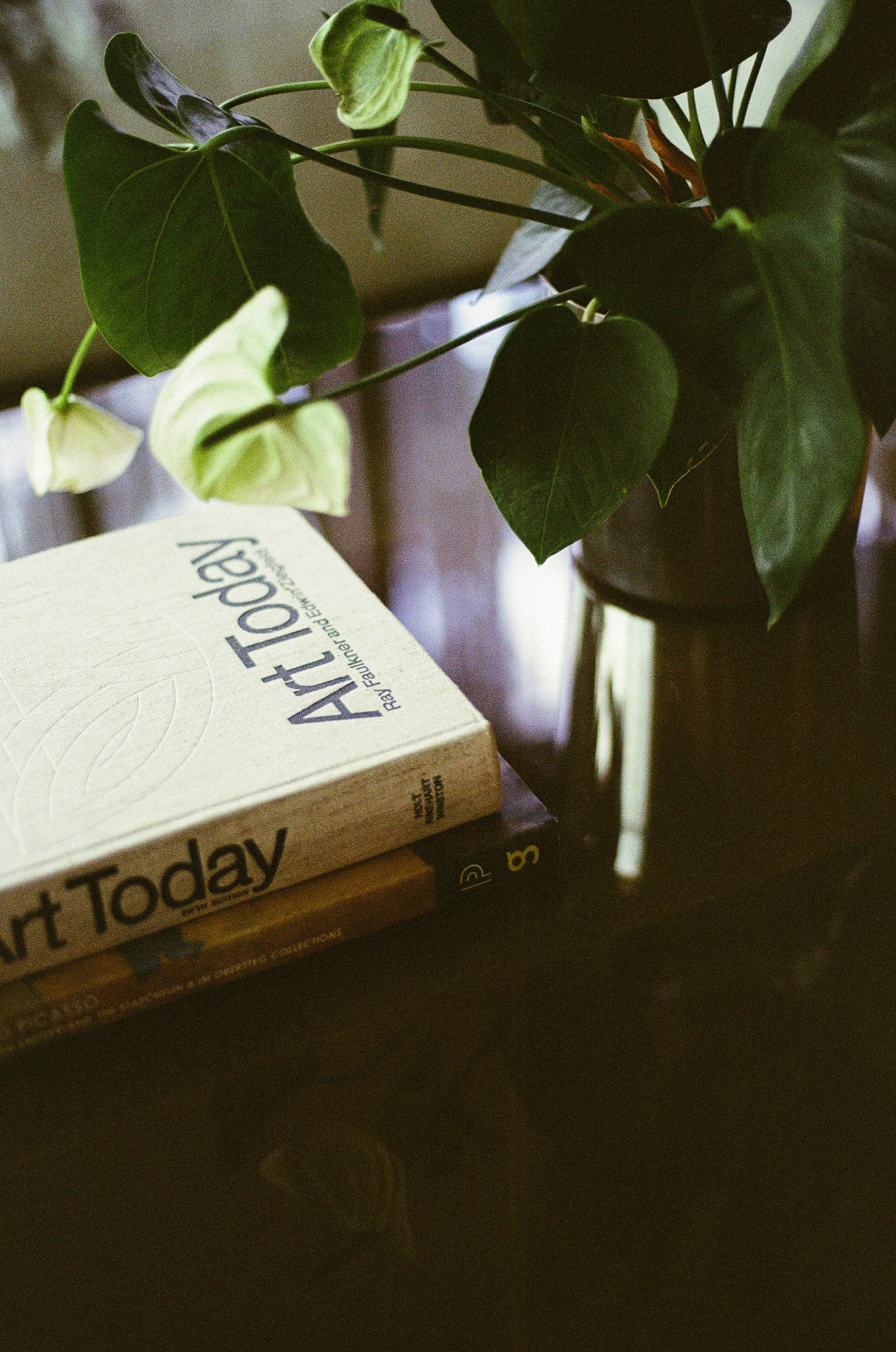 A book sitting on top of a table next to a potted plant