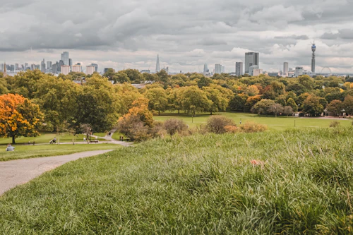 Park with trees and city buildings in the distance in London