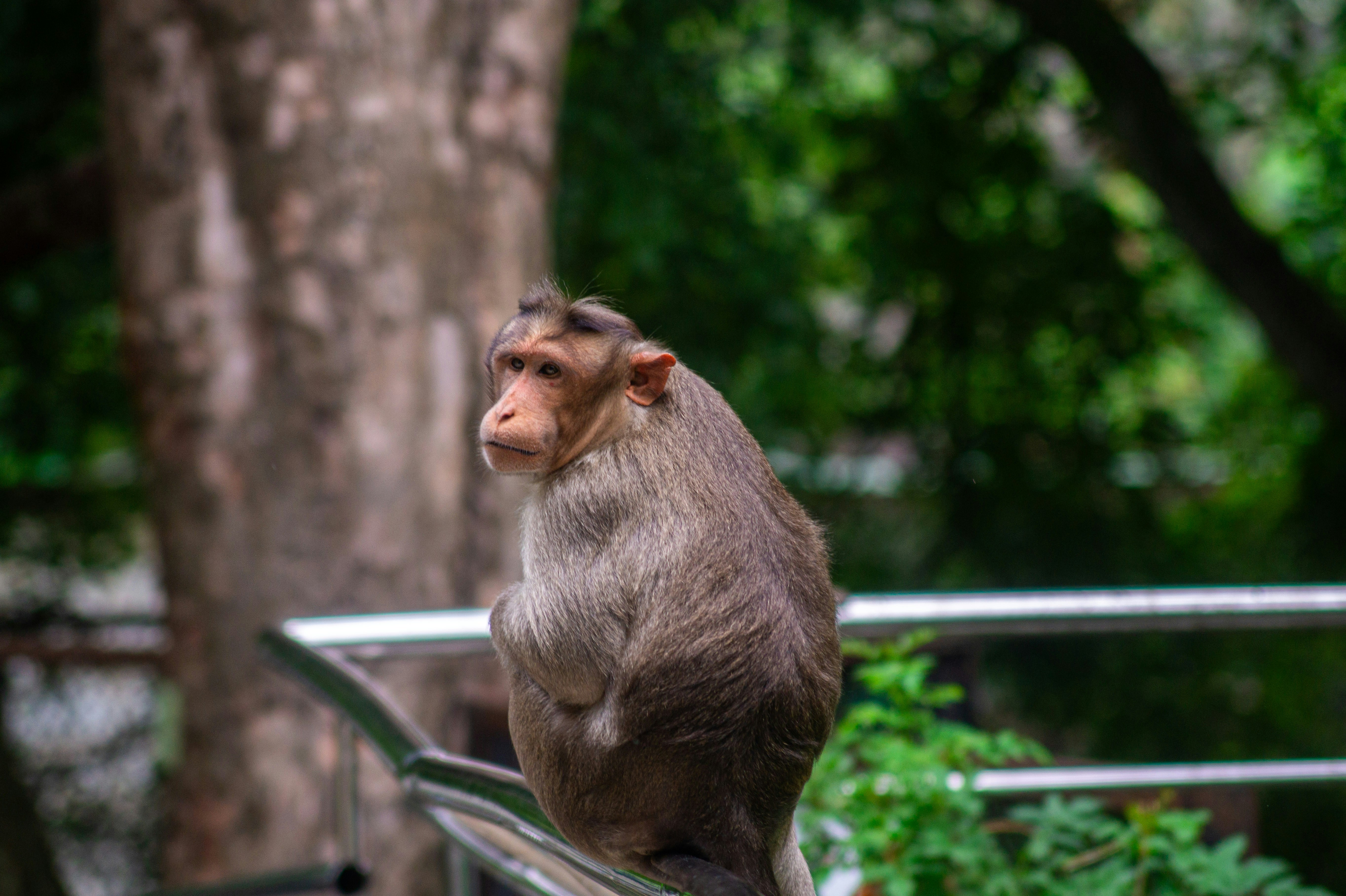 Photo by thejaswinramesh