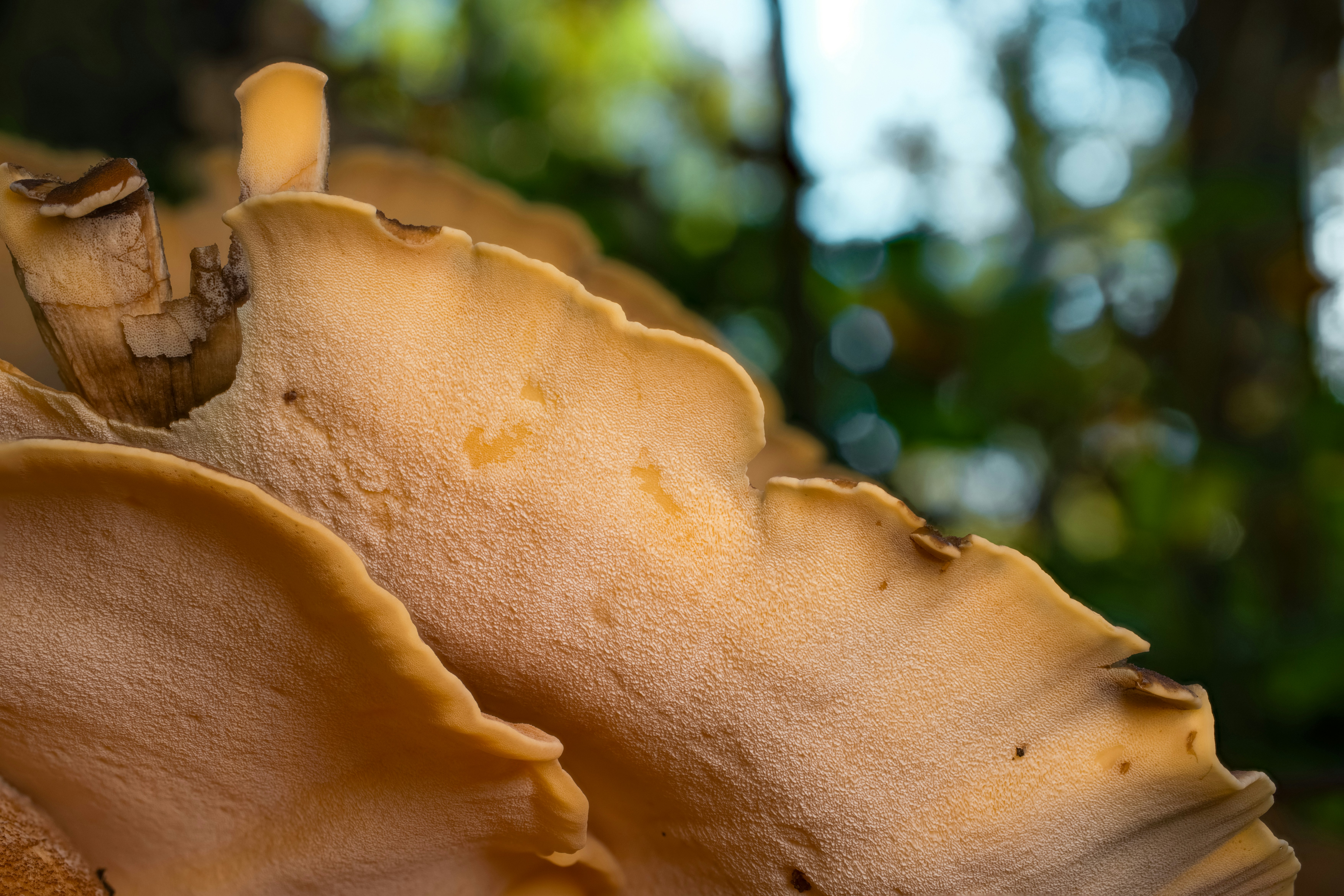 Photo by robertschwarz