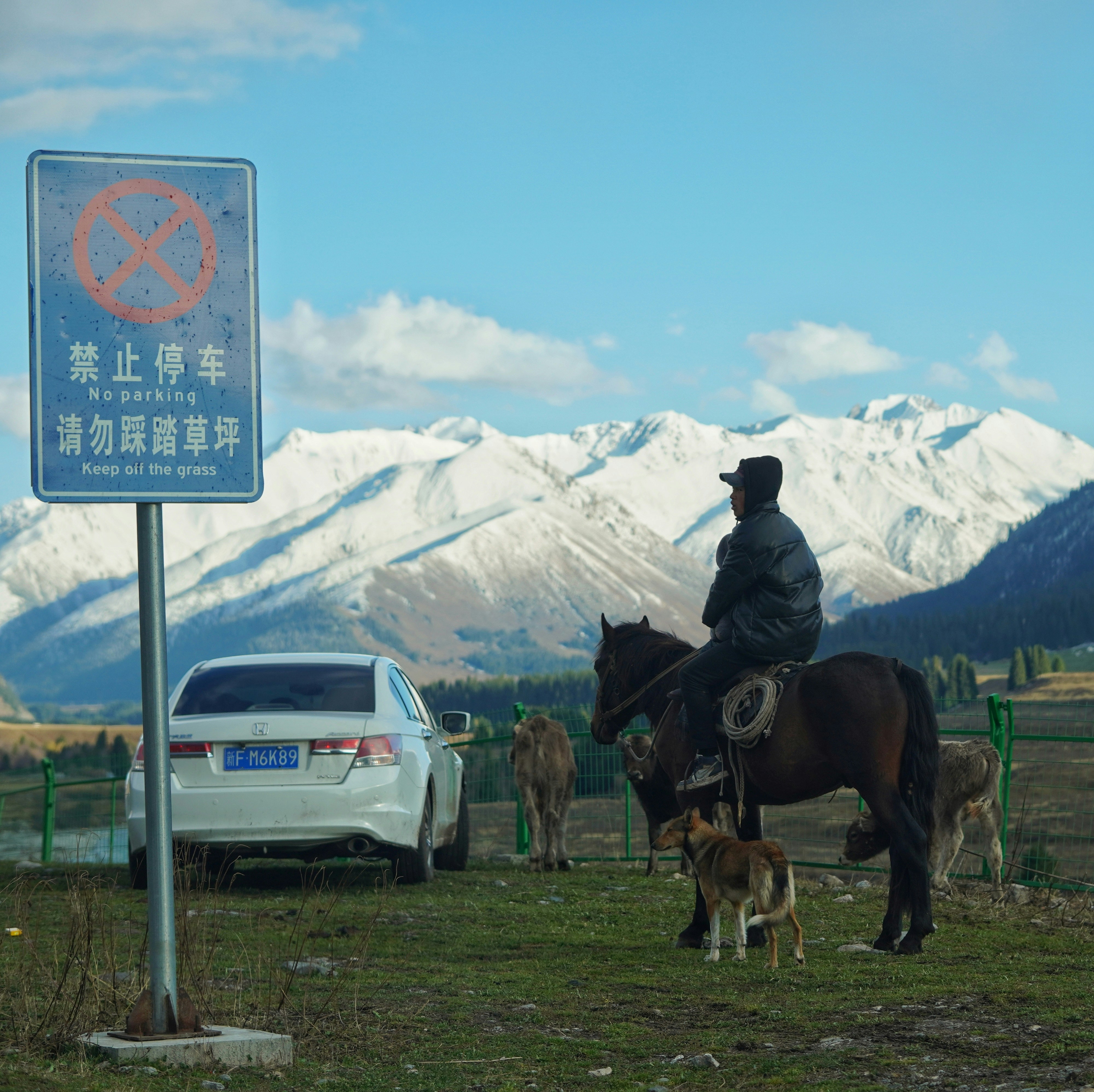 A man riding on the back of a horse next to a dog