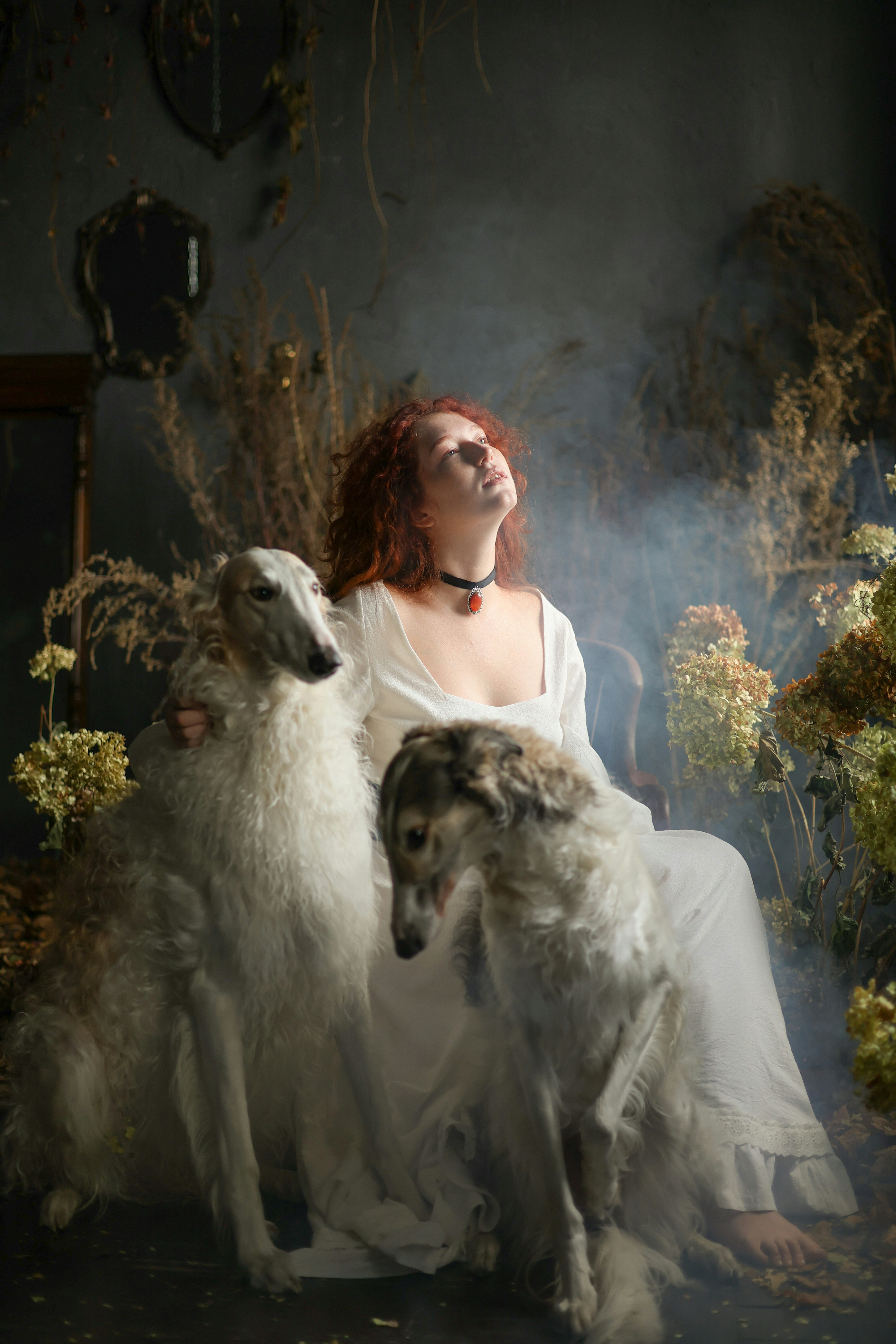 A woman sitting on a chair with two dogs
