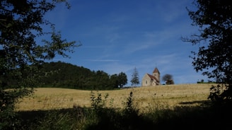 A house on a hill with trees in the foreground