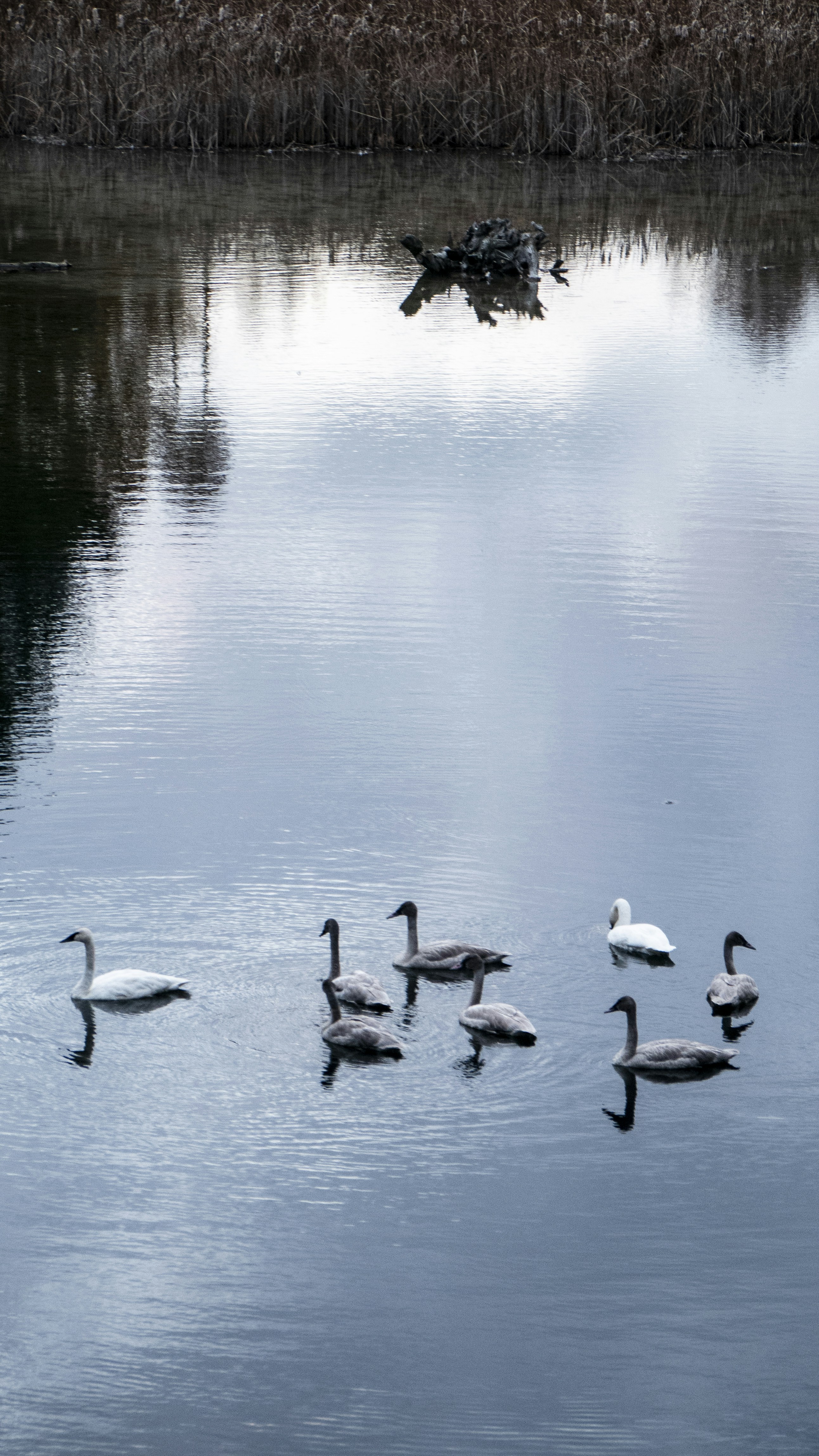 Photo by joshuamakesvids