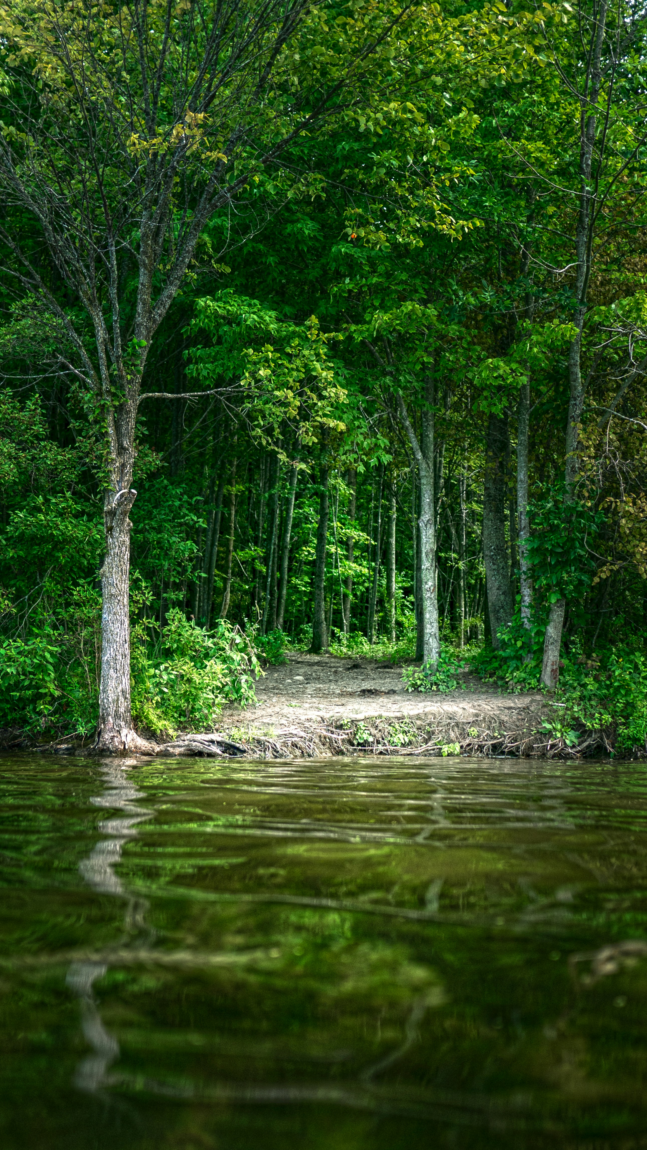 Photo by joshuamakesvids