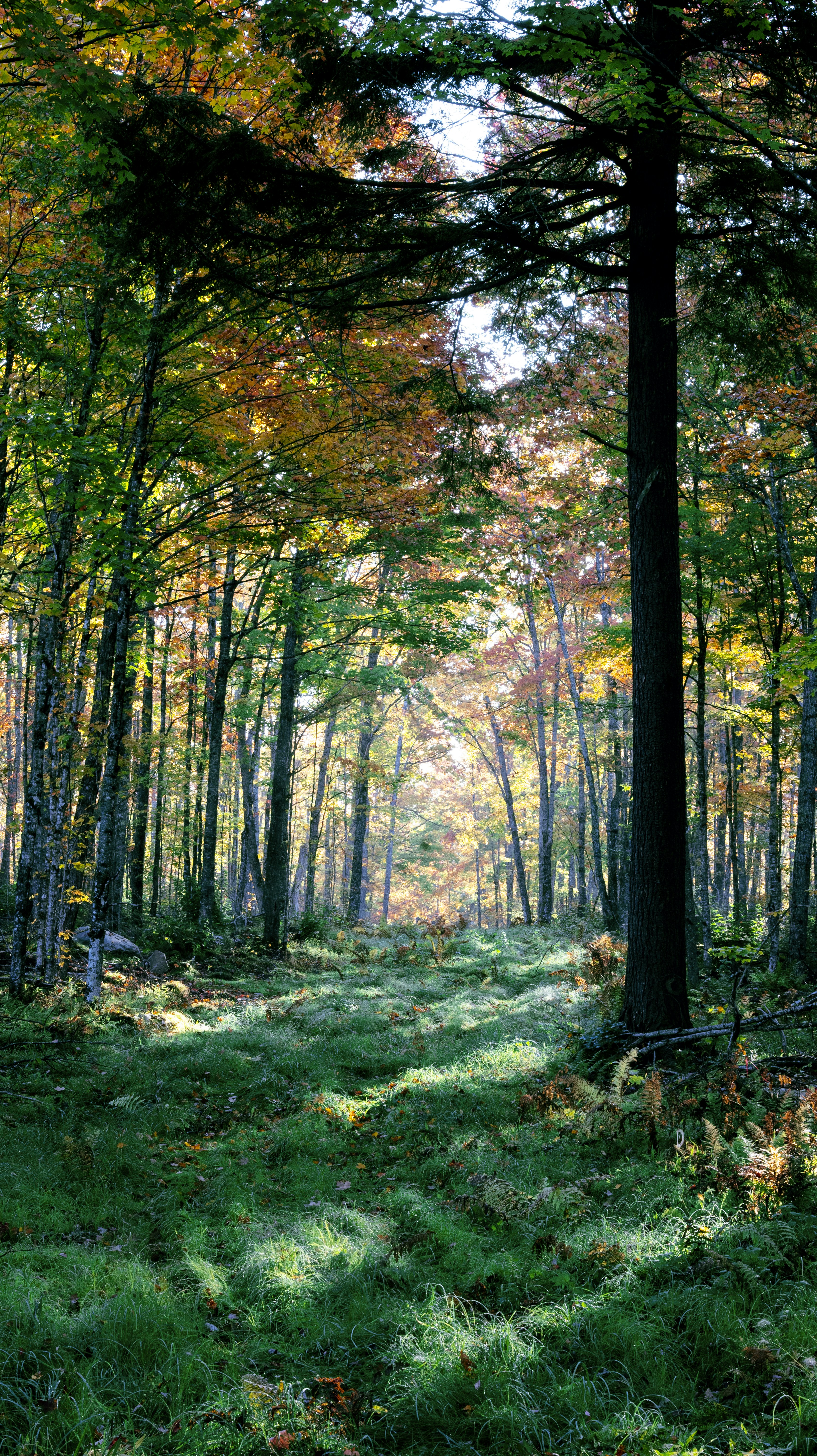 Photo by joshuamakesvids