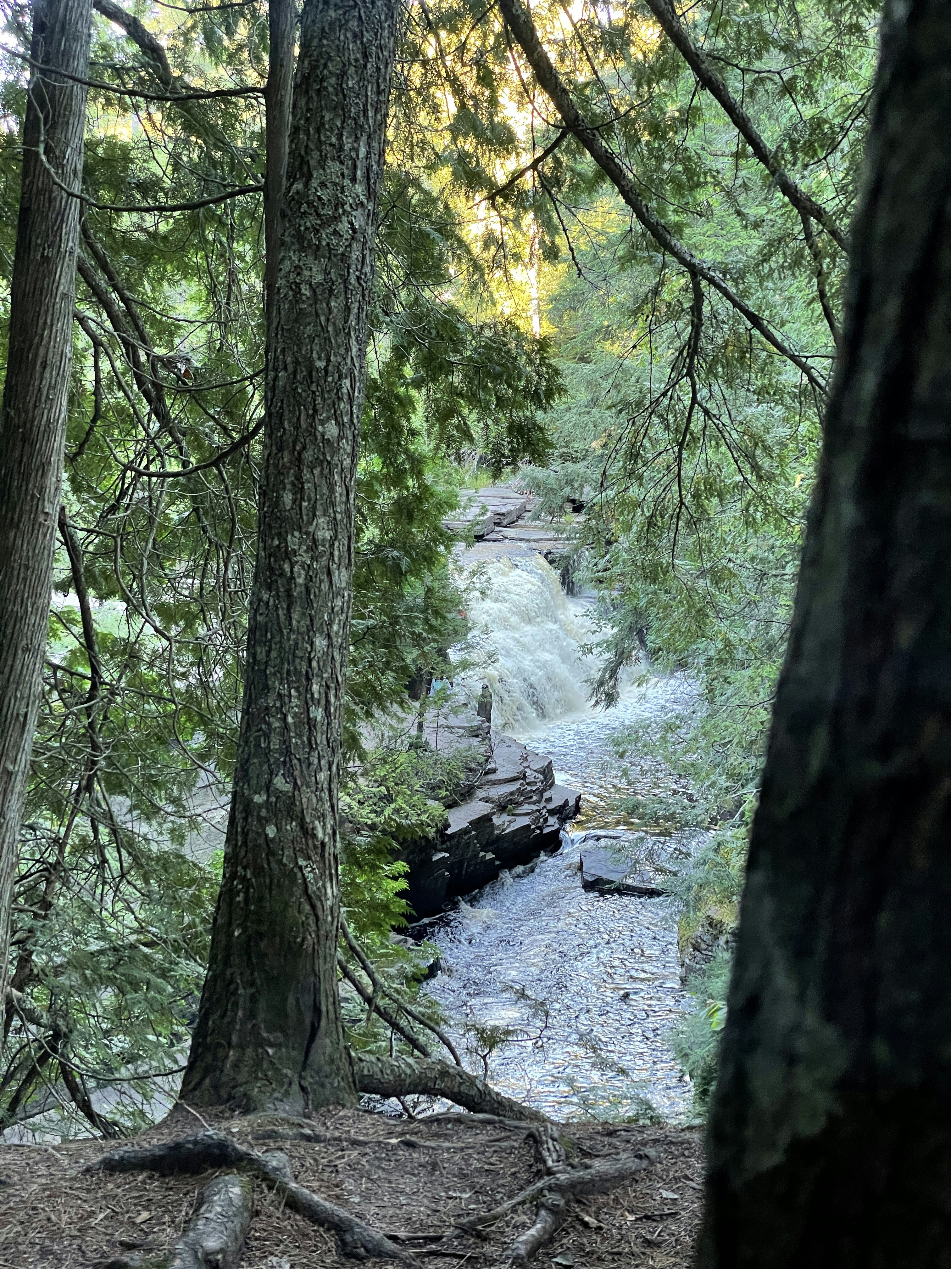 Photo by joshuamakesvids