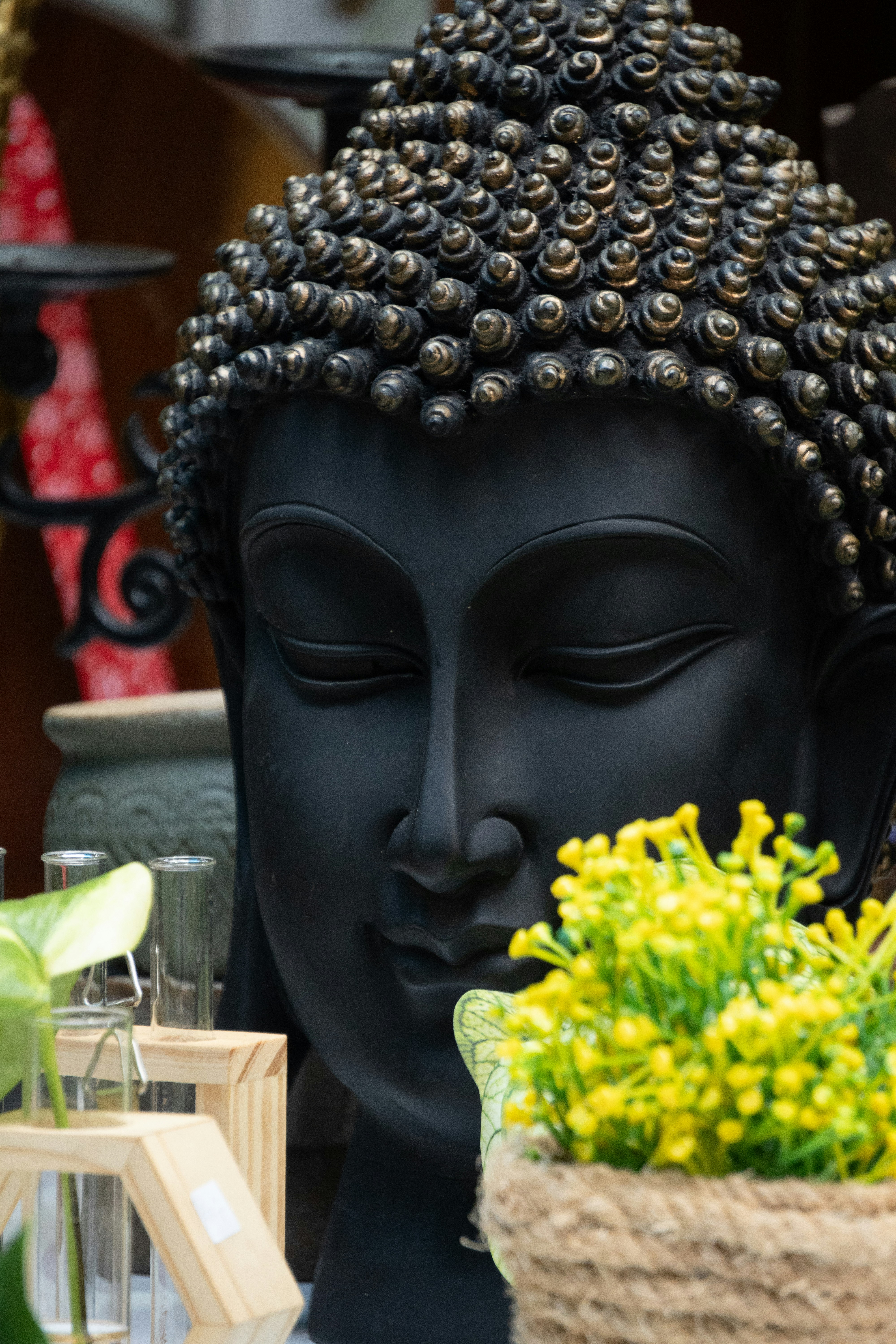 Photo by sleeba_thomas