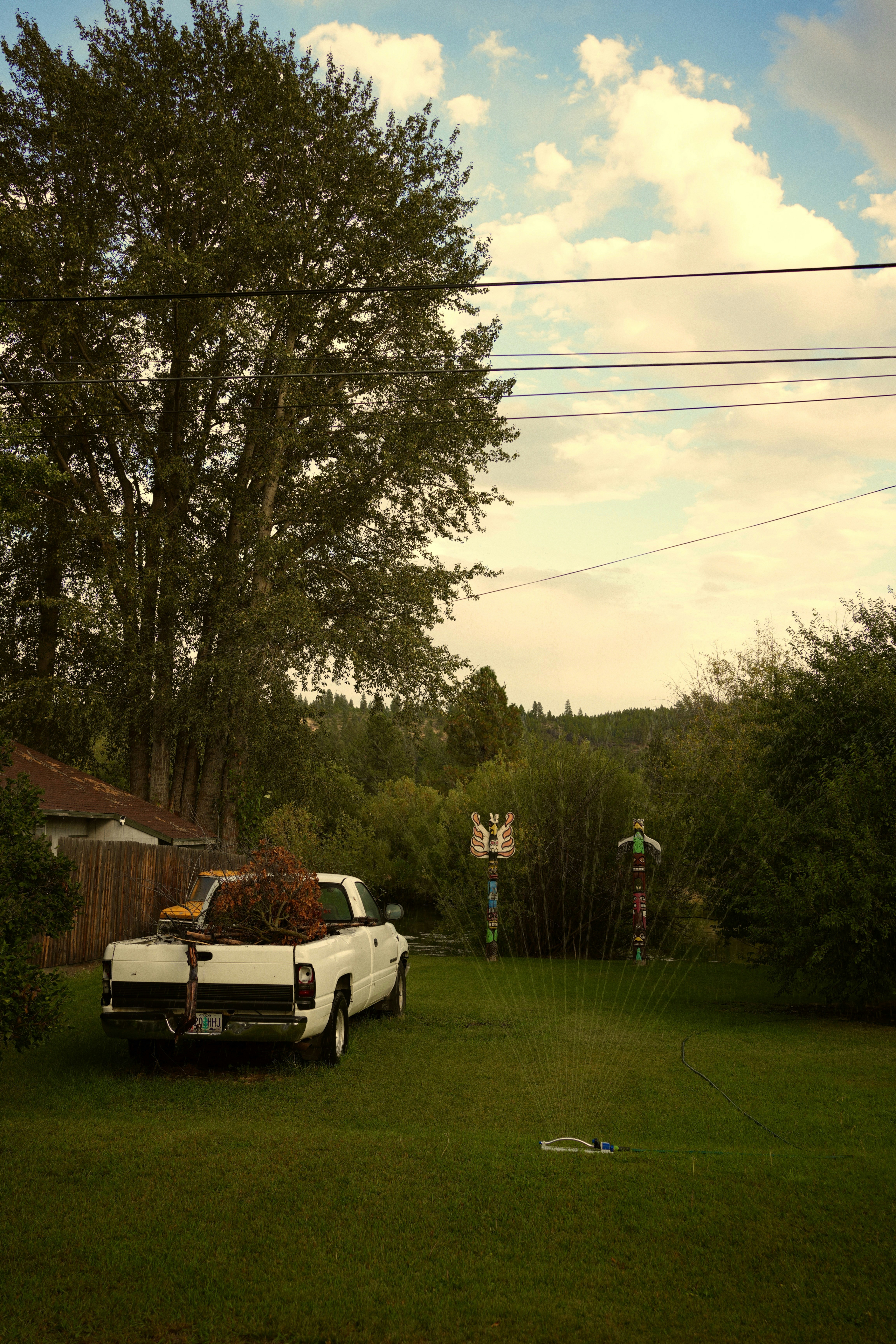 A white truck parked in a yard next to a tree
