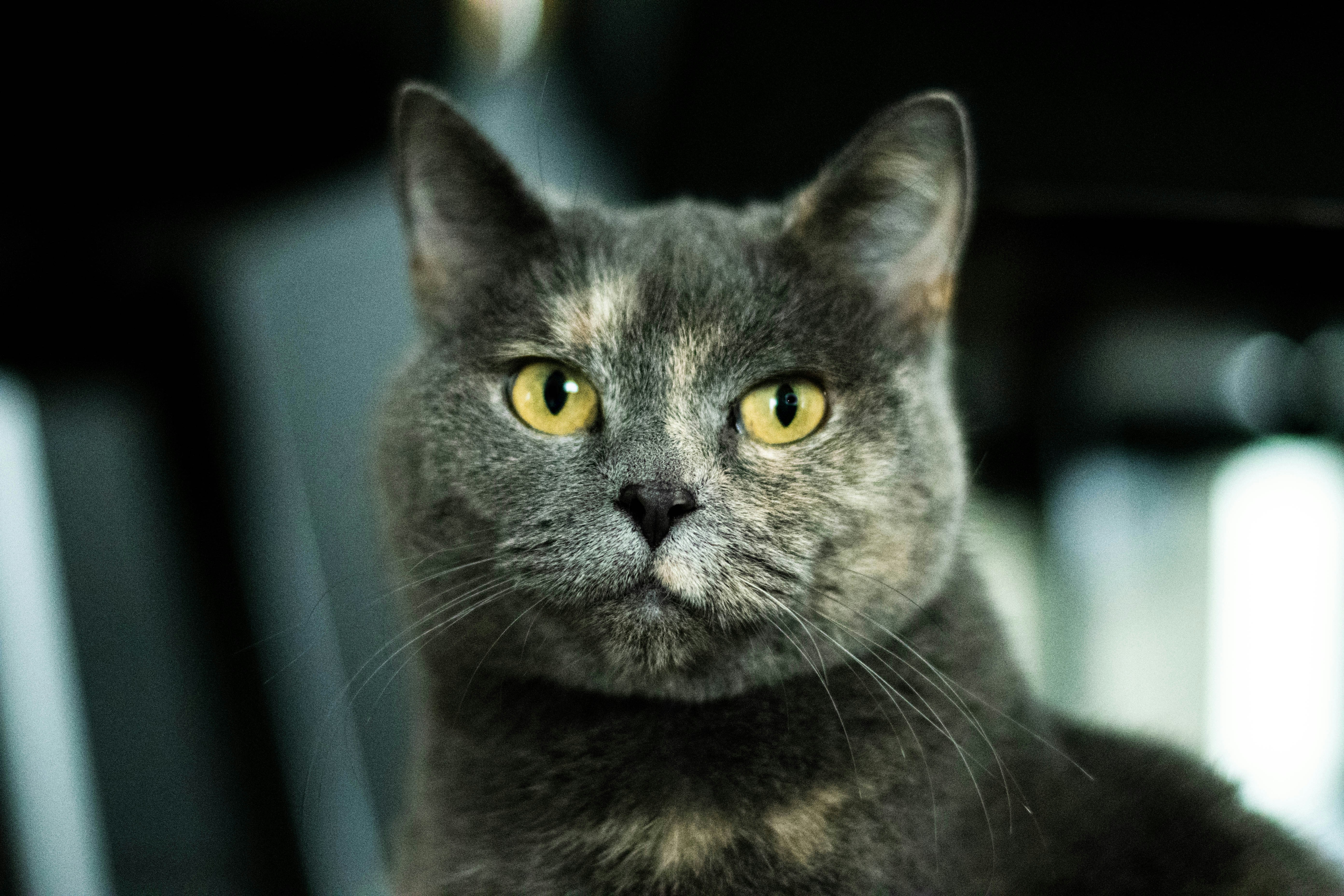 Photo by victordevos