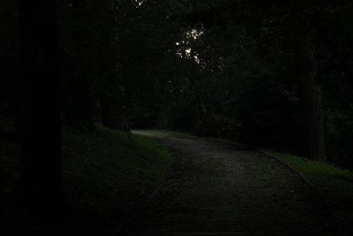 A dark path in the woods at night