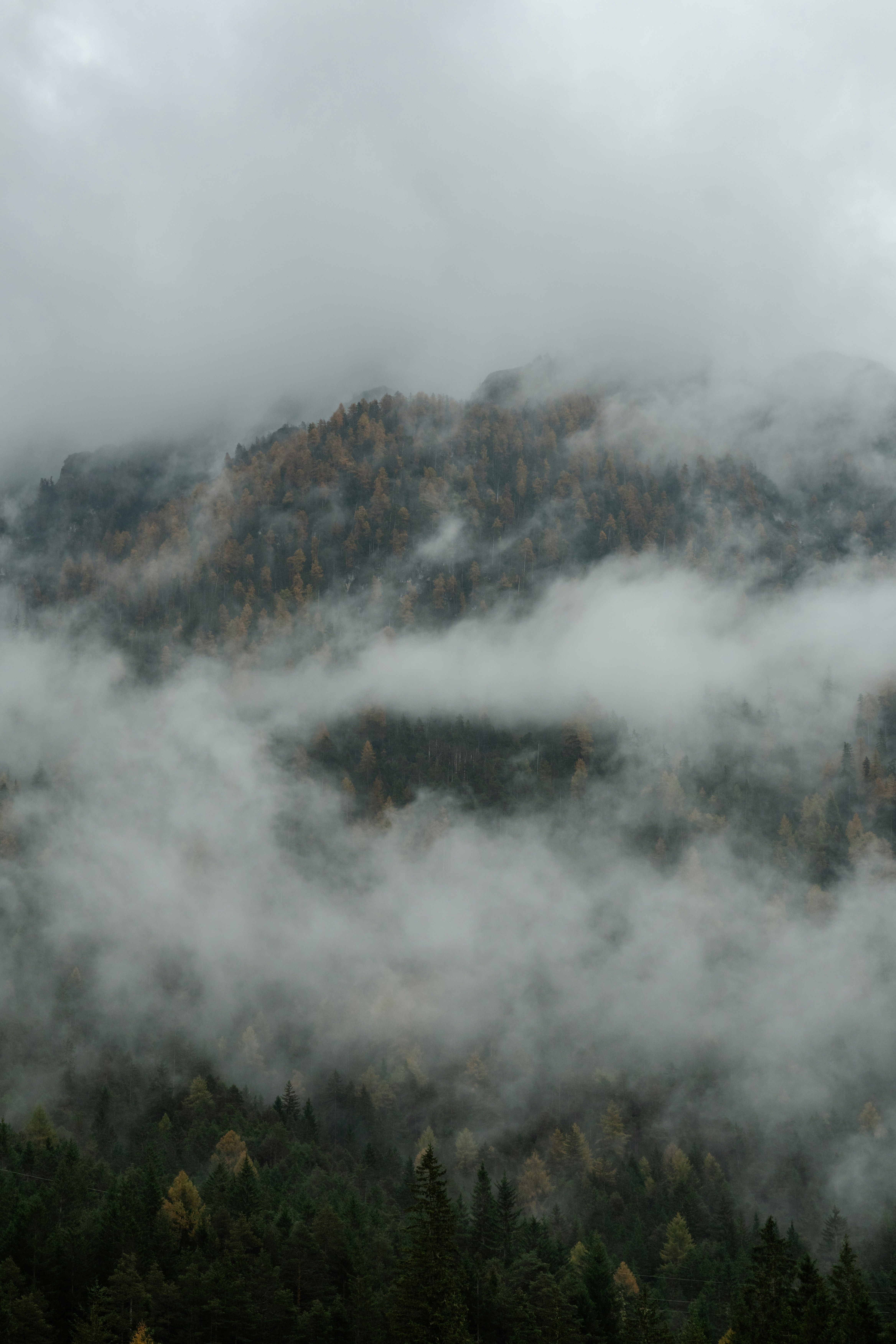 Photo by xandrovandewalle