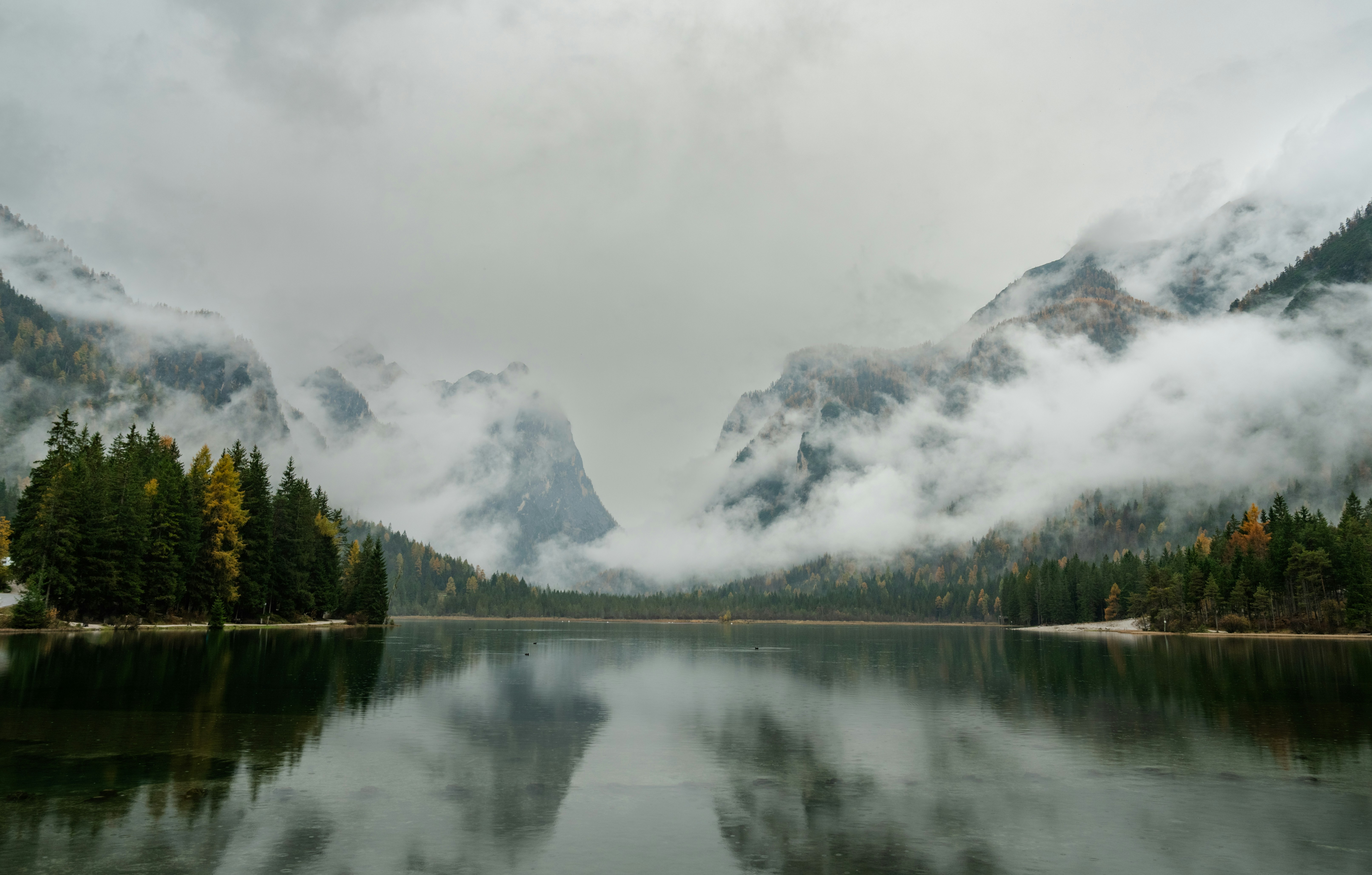 Photo by xandrovandewalle