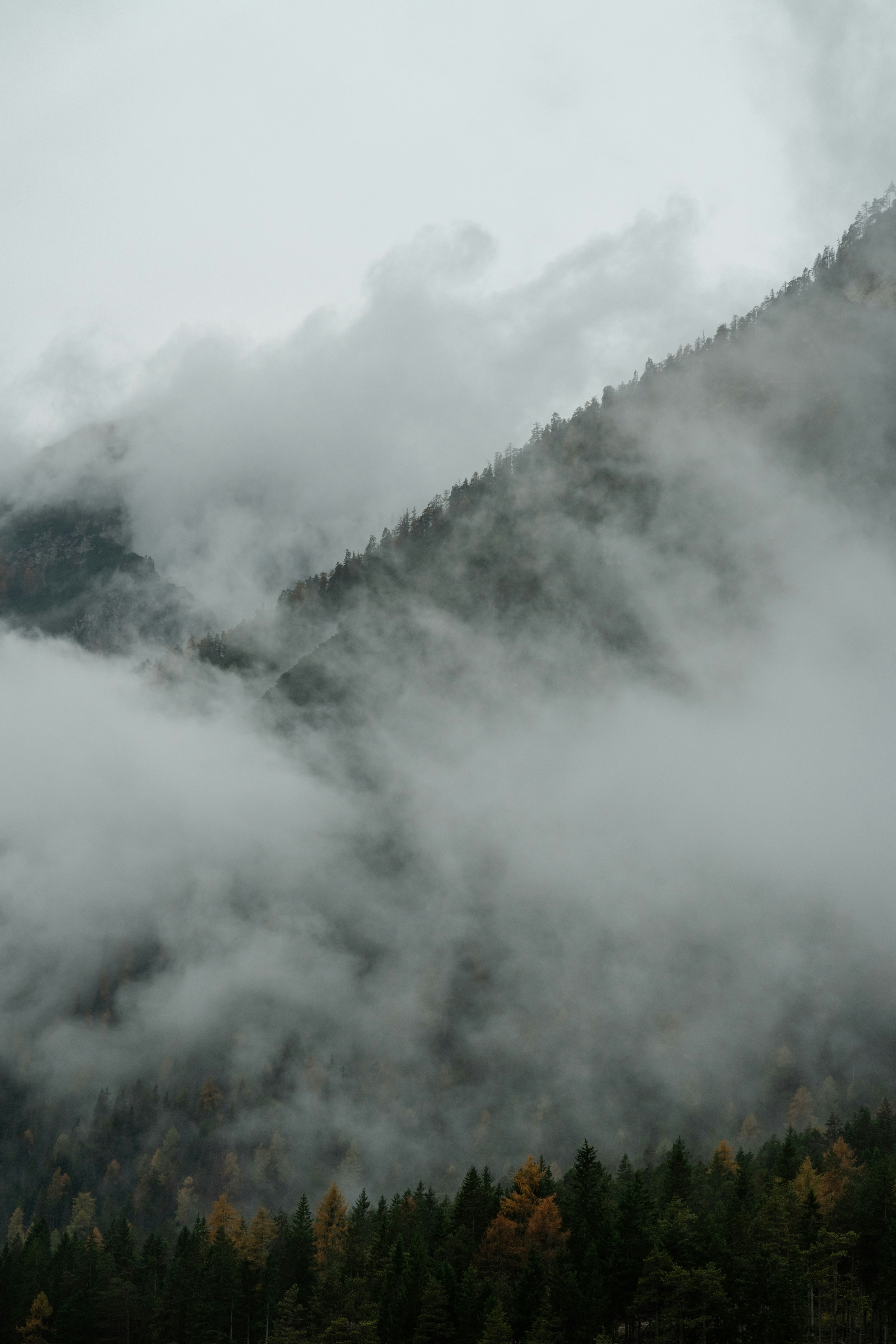 Photo by xandrovandewalle