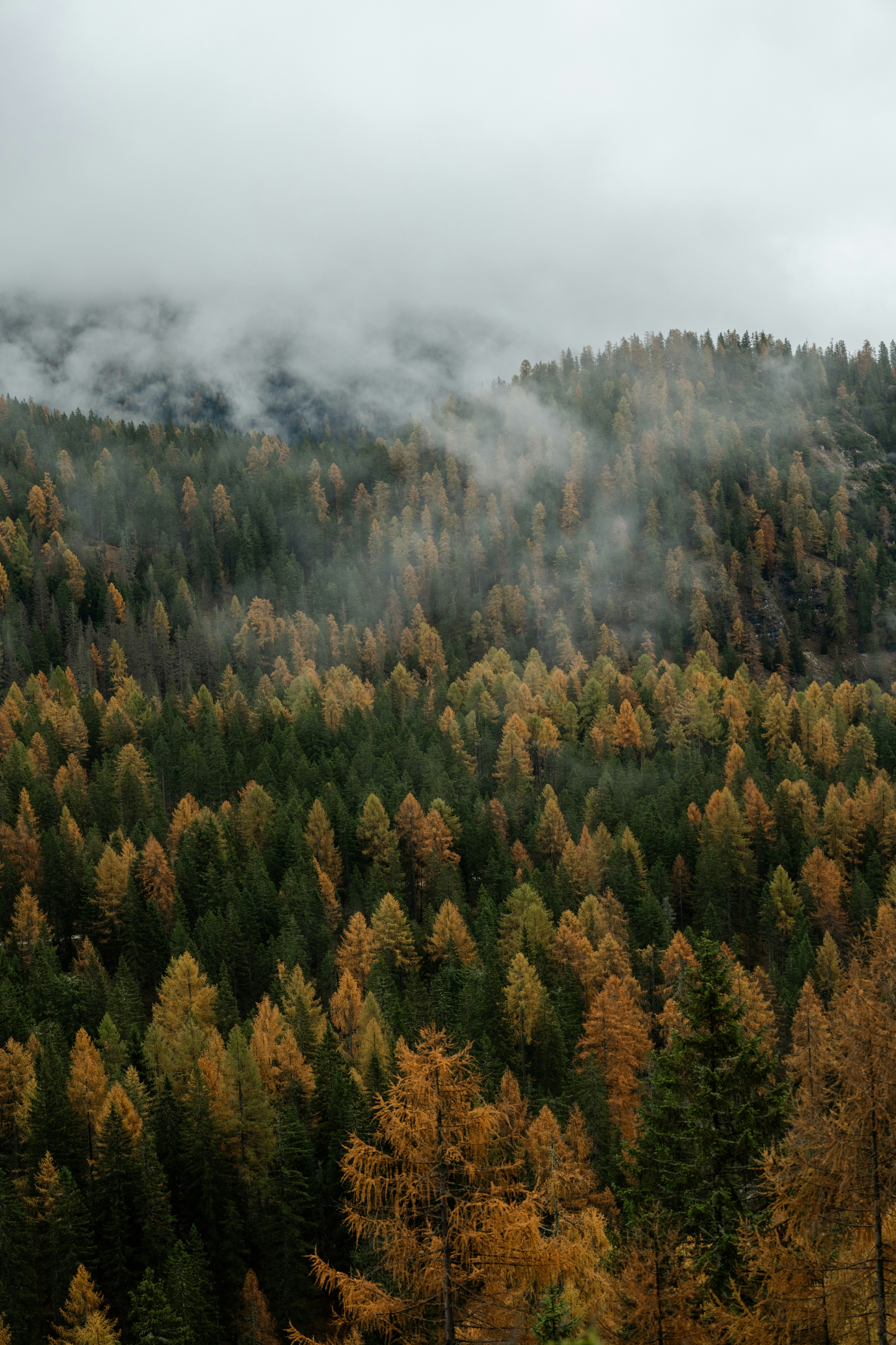 Photo by xandrovandewalle