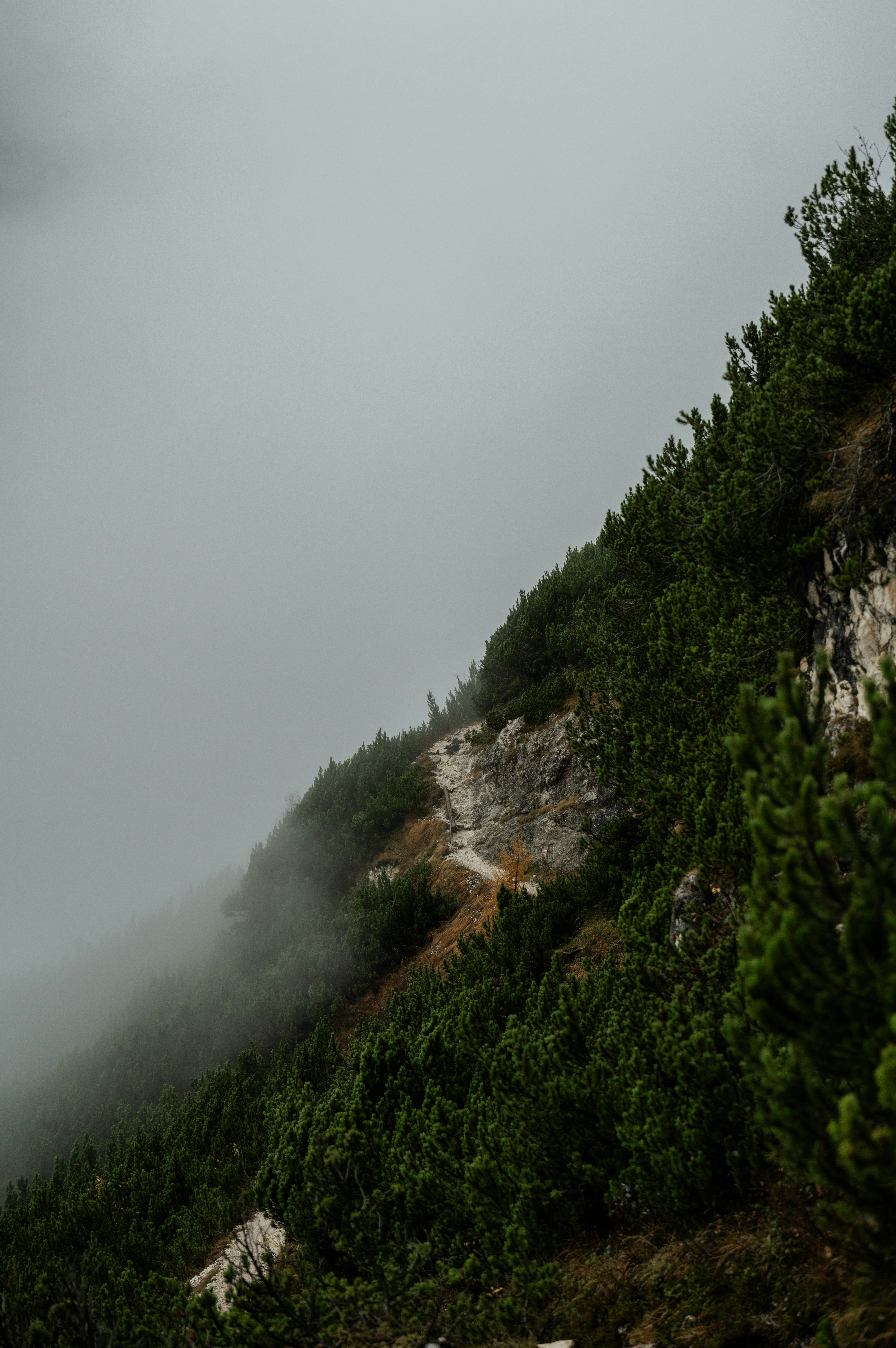 Photo by xandrovandewalle