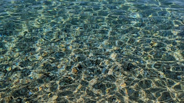 A view of a body of water from above