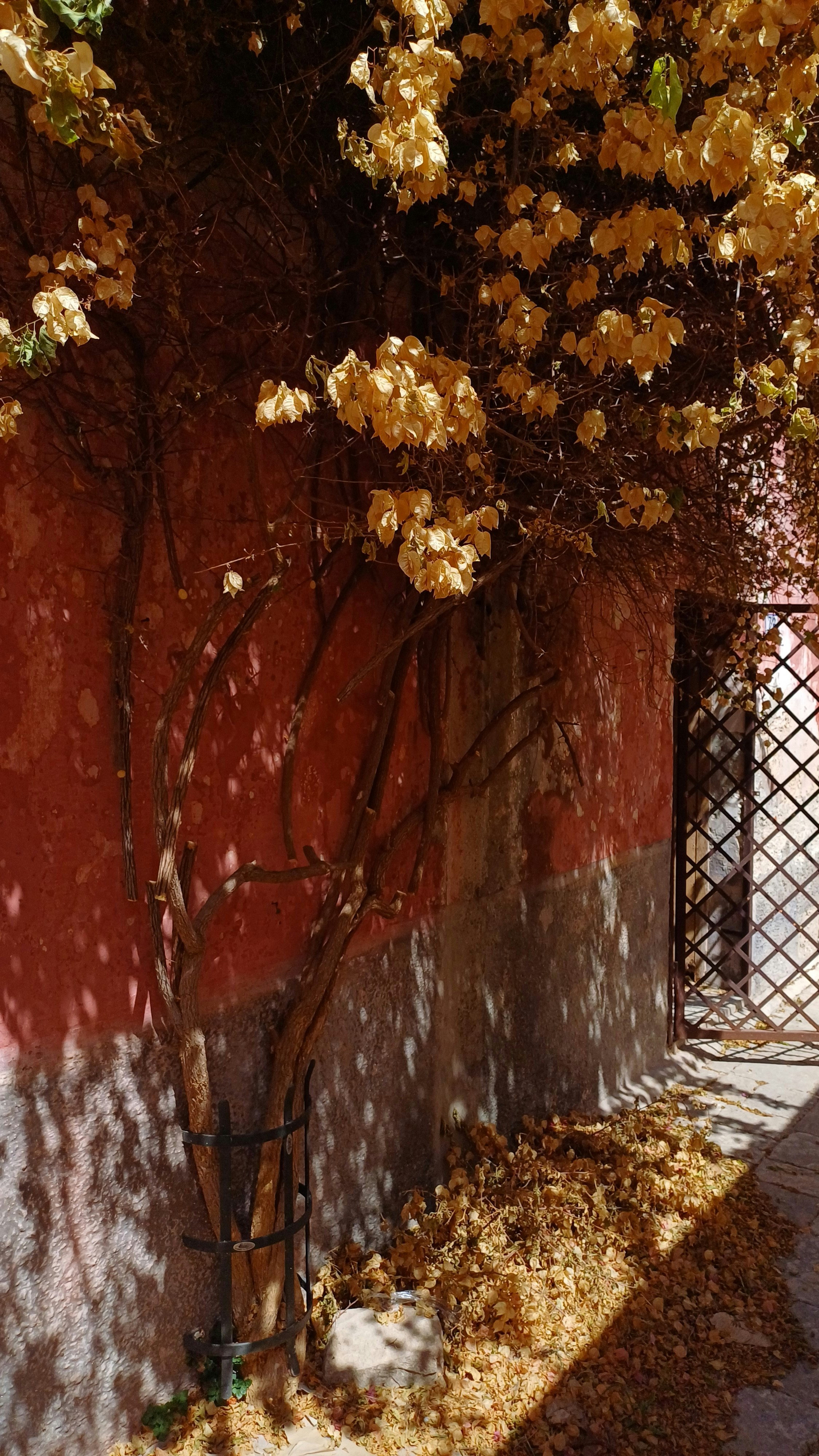 Un idrante antincendio seduto accanto a un muro rosso