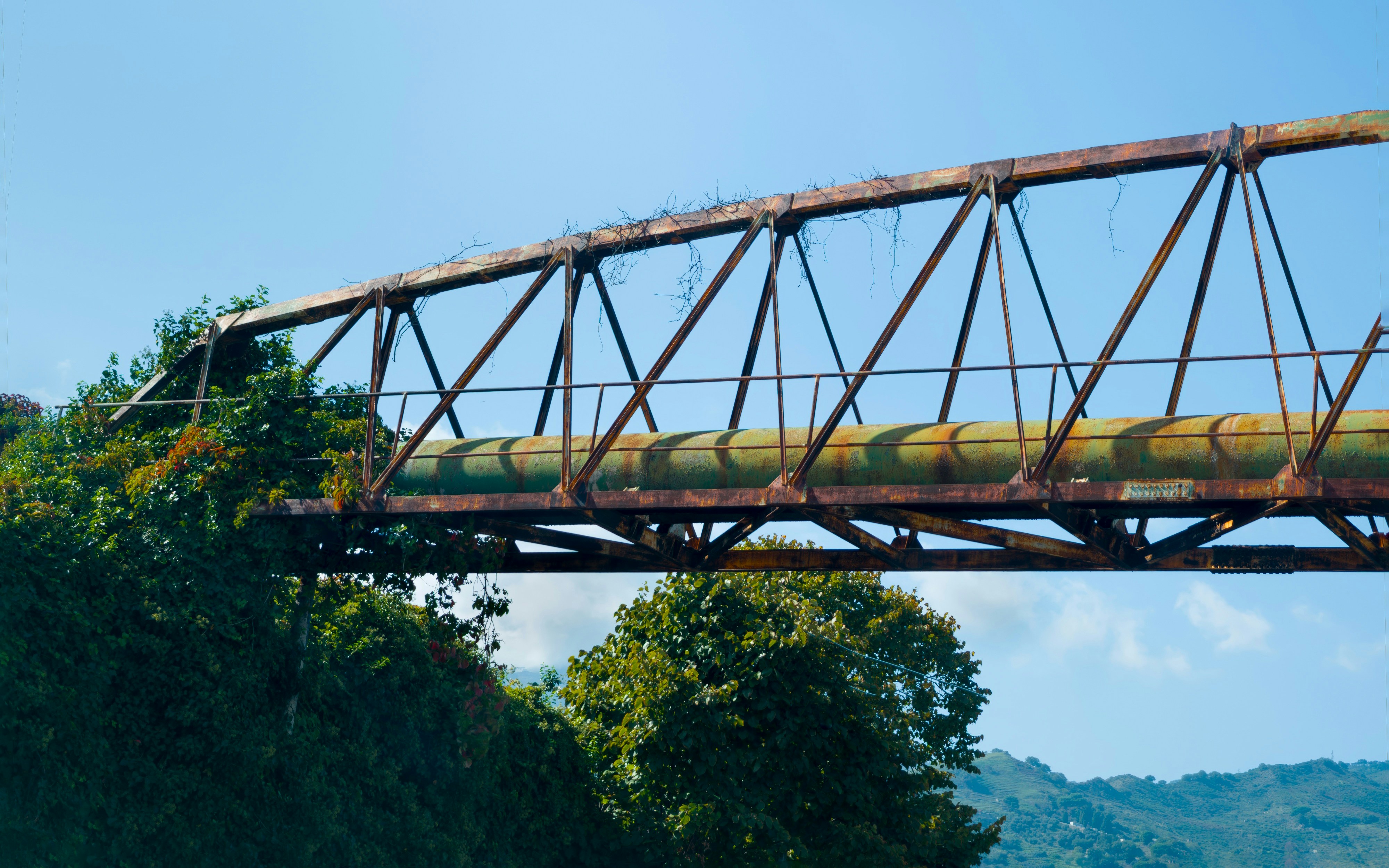 duce (จากรากภาษาละติน dūcere หมายถึง "นำ") - root