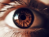 A close up of a person's brown eye