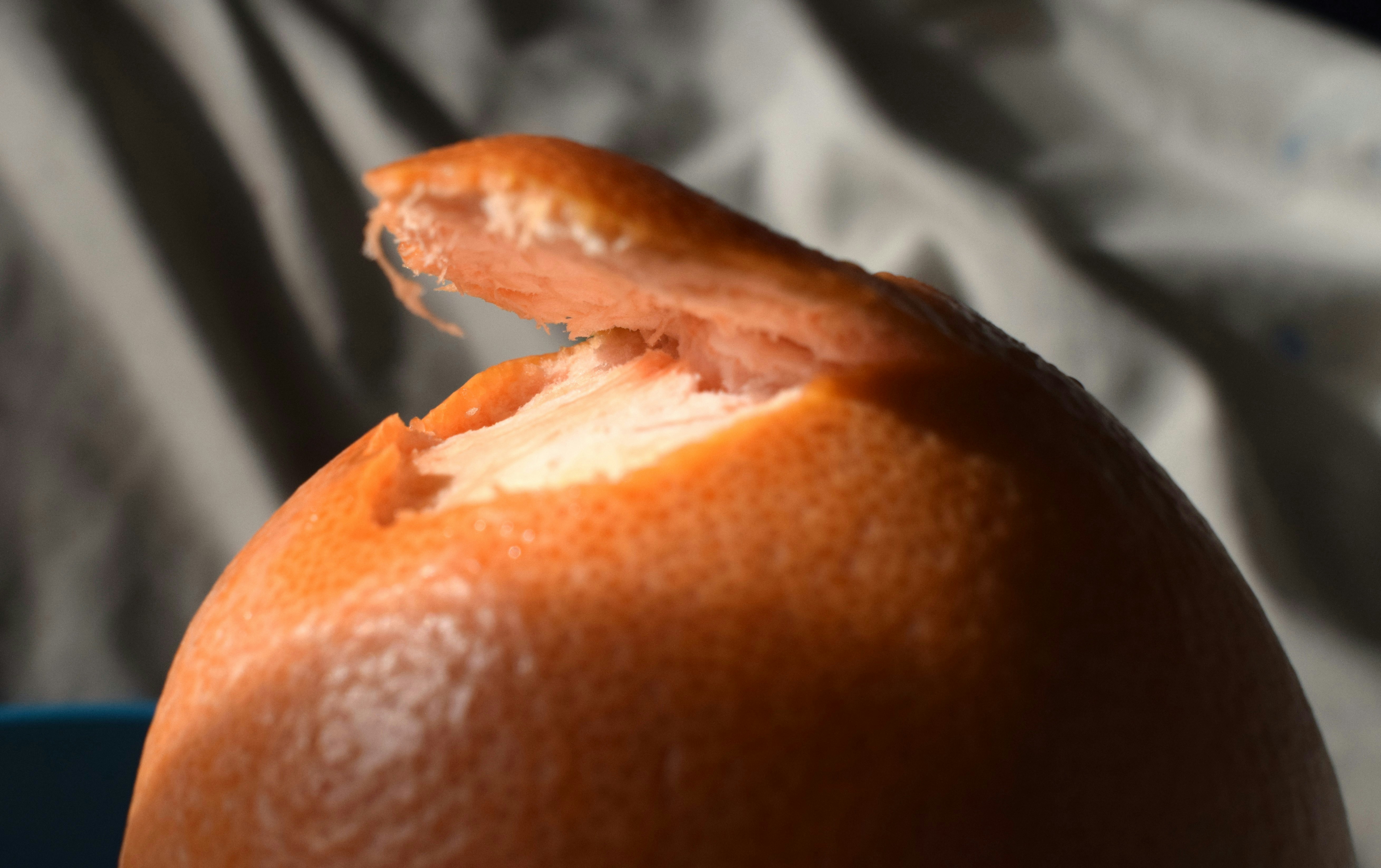 Bright orange Cara Cara navel oranges with one sliced open showing pink interior in sunlight