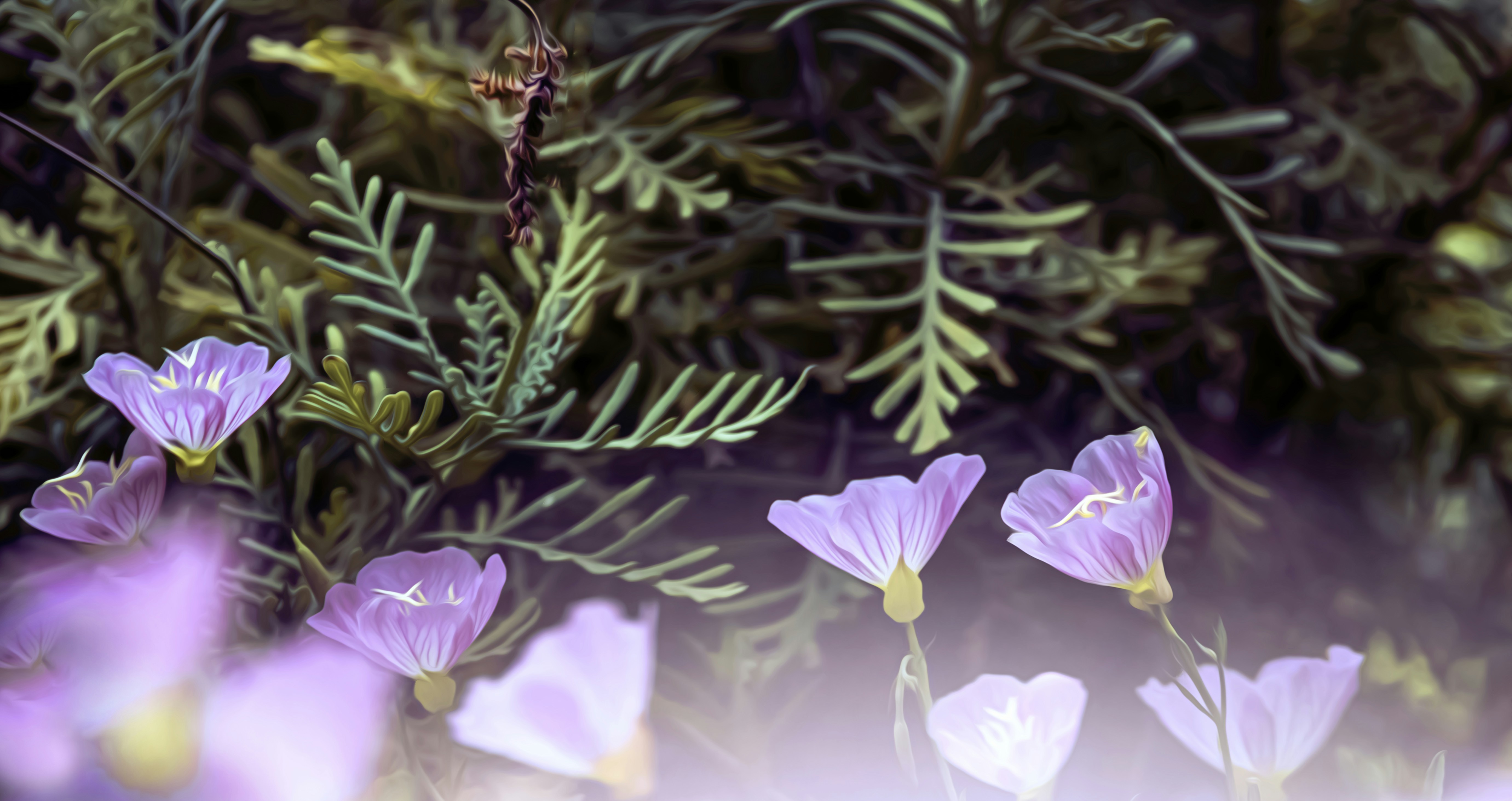 A bunch of flowers that are in the grass